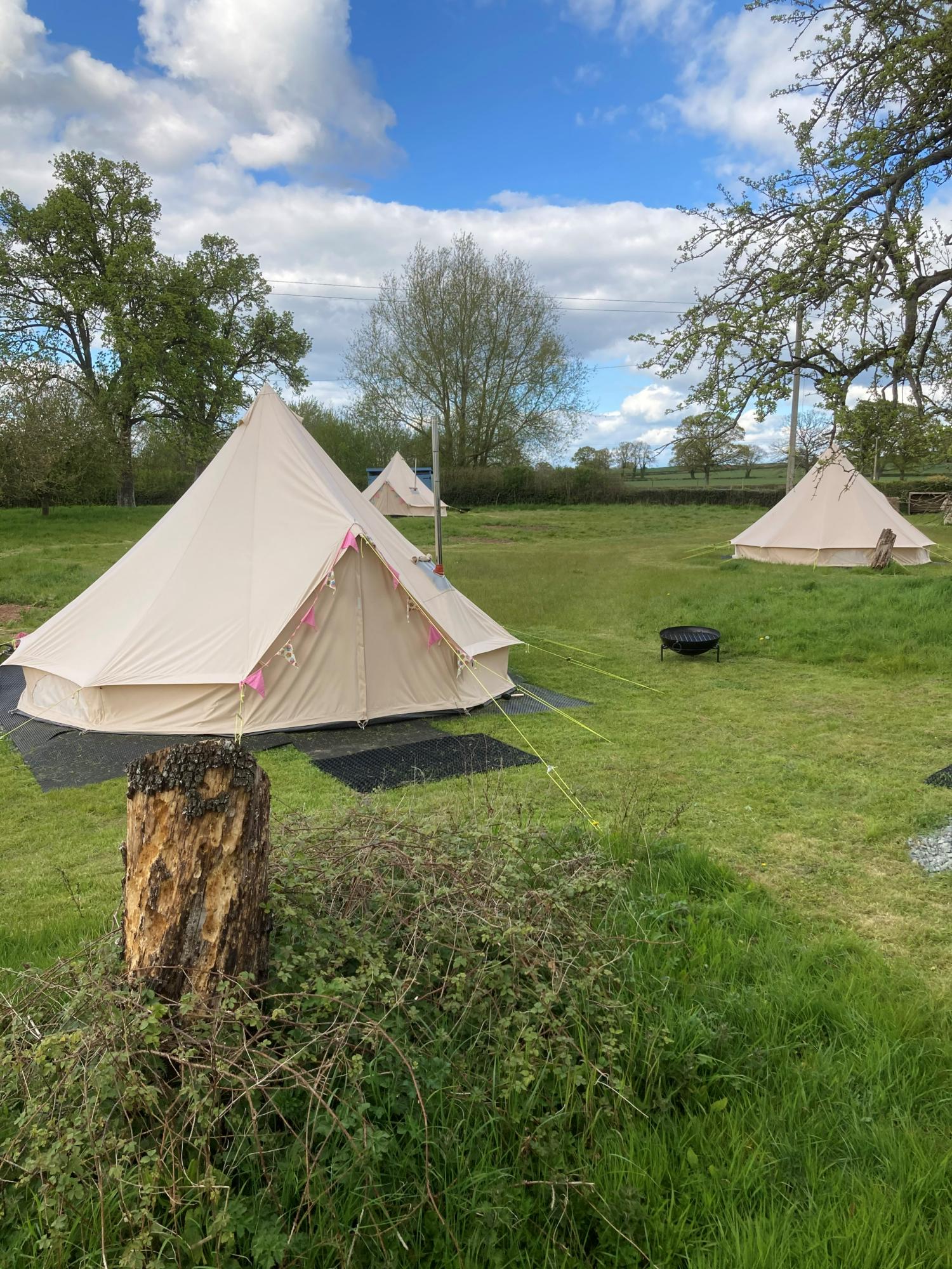 Homestead Glamping and Camping