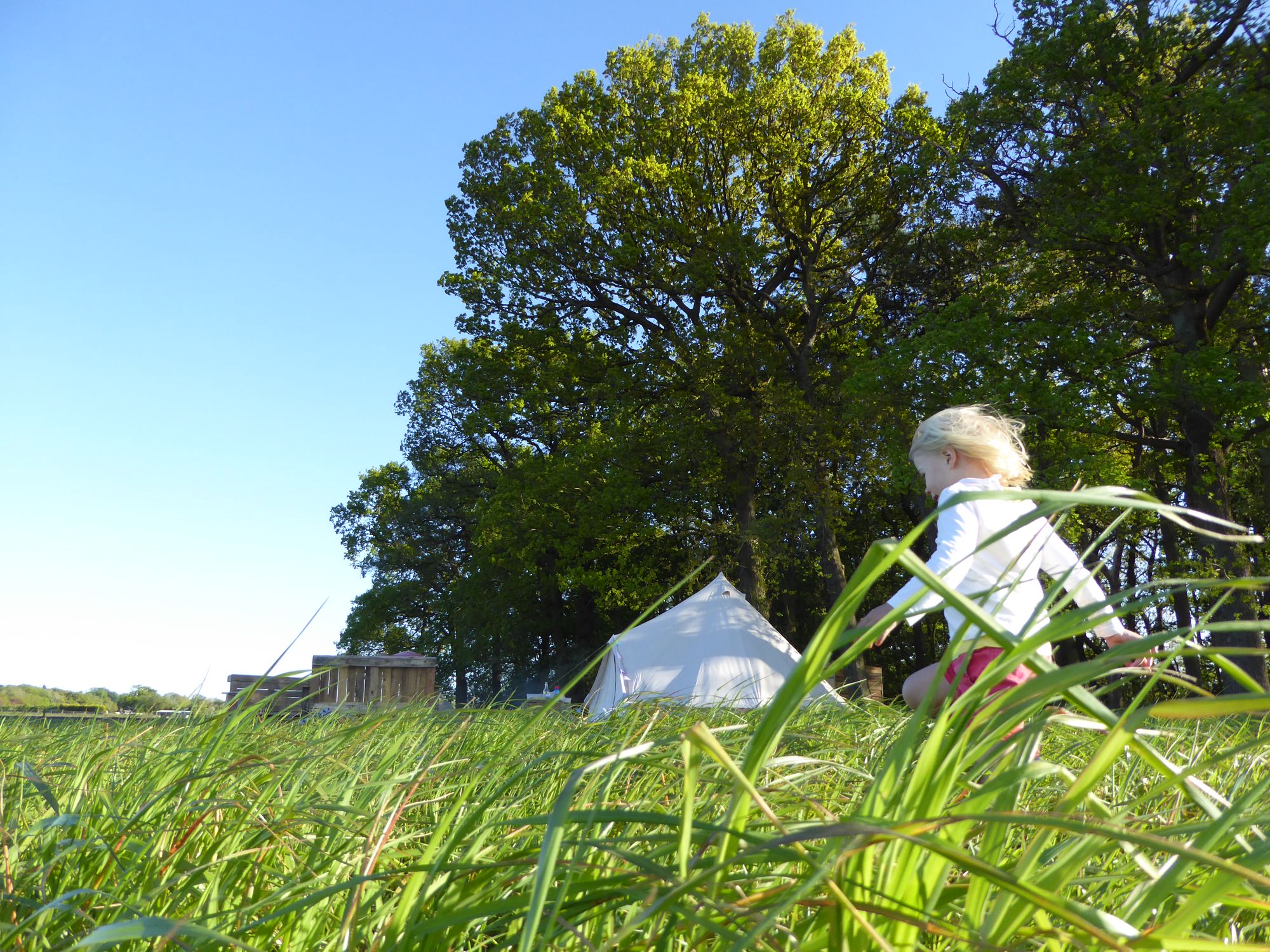Watkinsons Farm Glamping