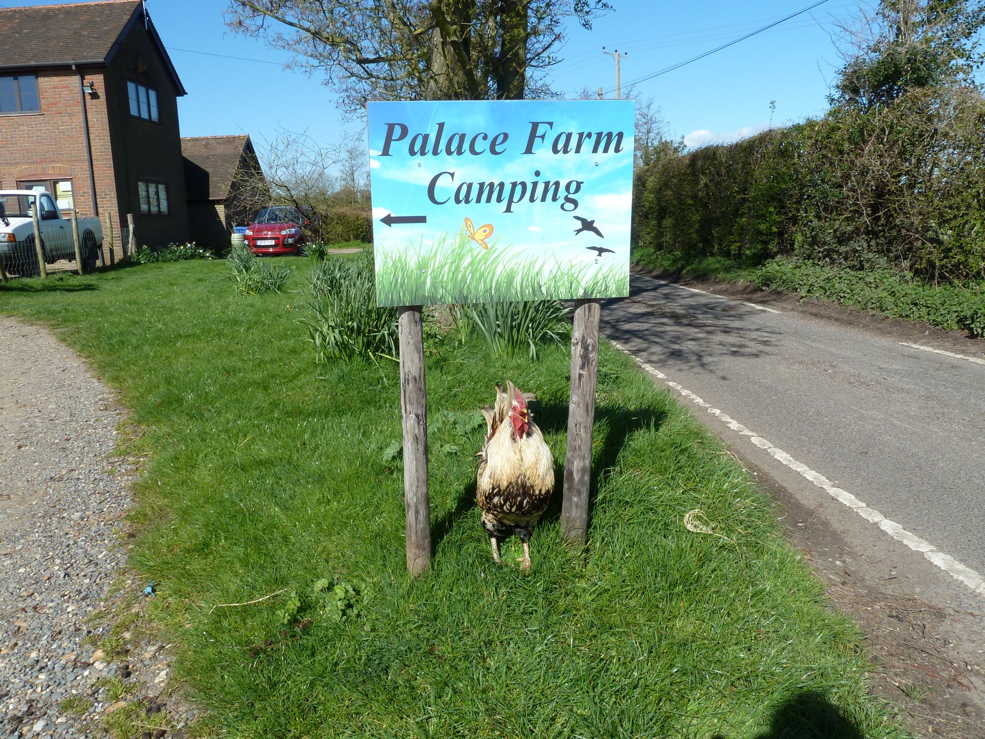 Palace Farm