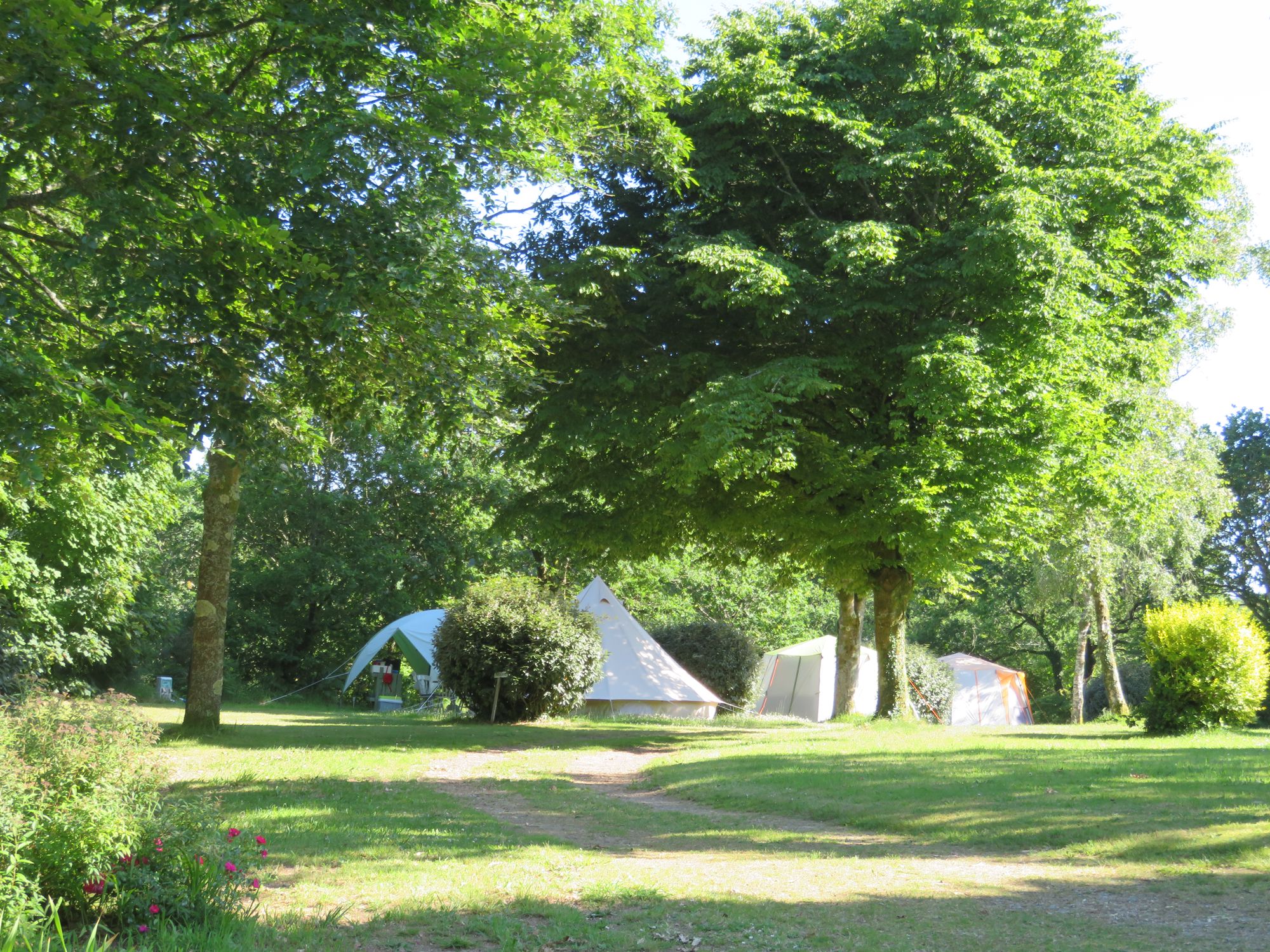 Bell Tent 