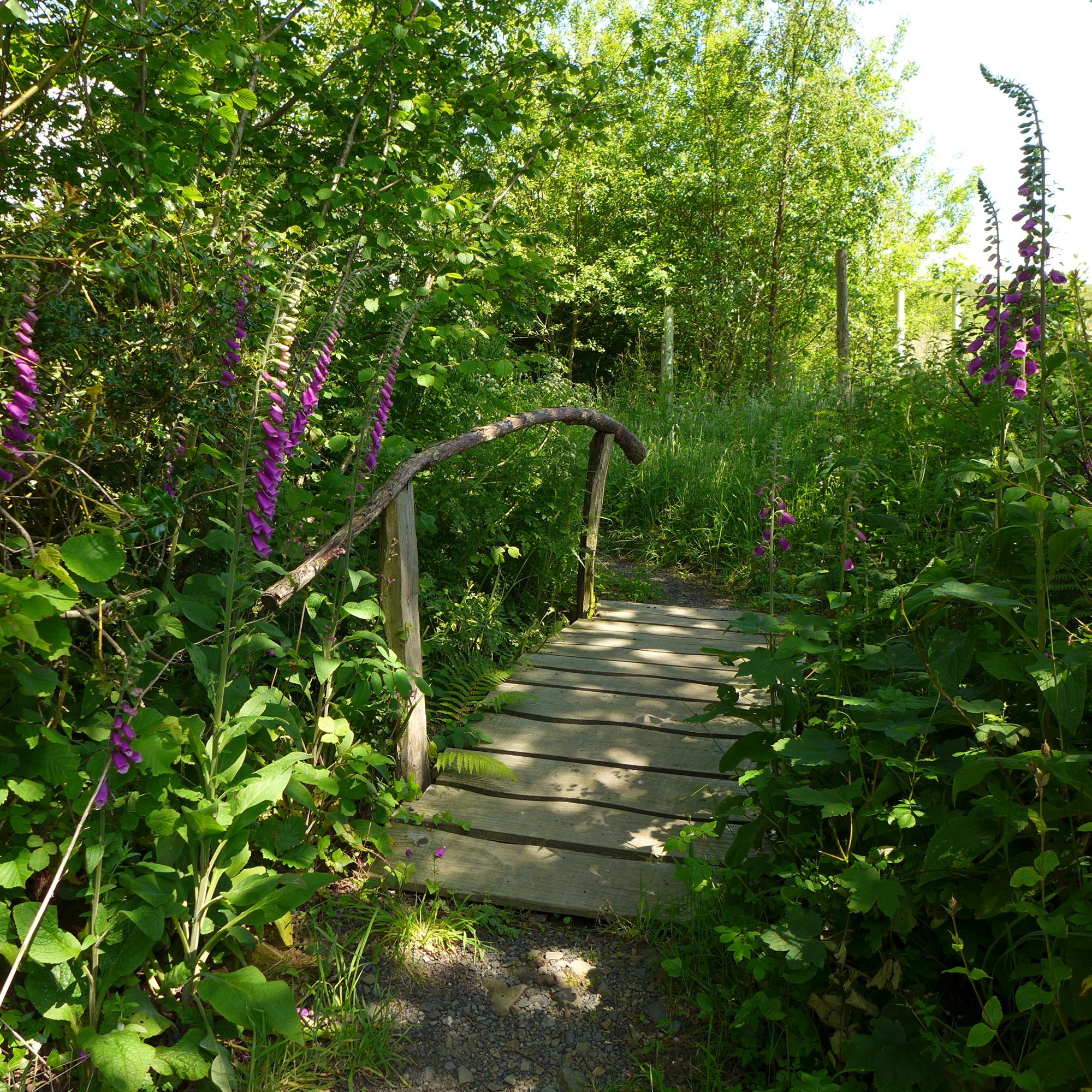 Bakesdown Farm Camping