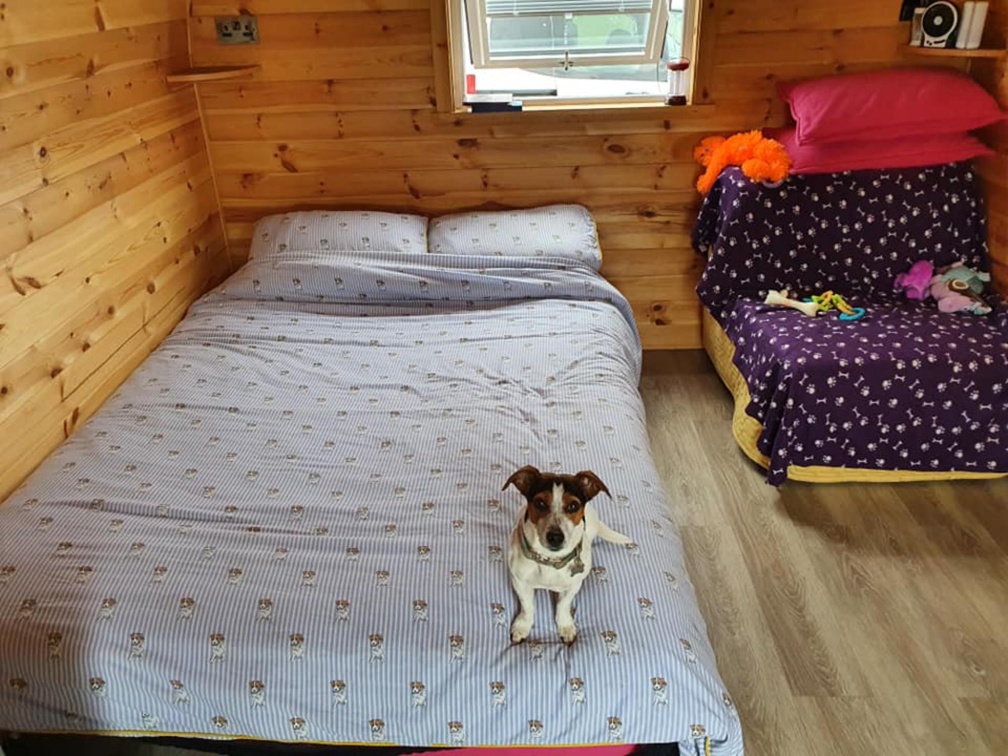 Camping at Cardewlees