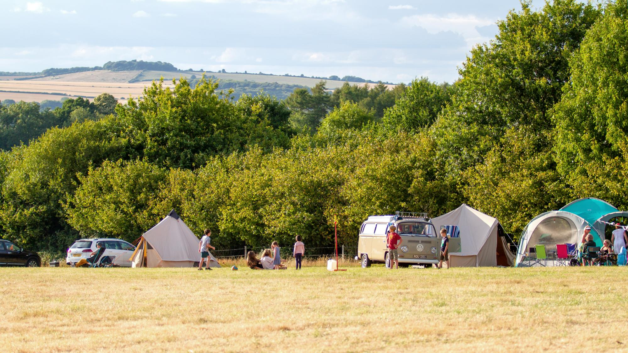 Harry's Meadow