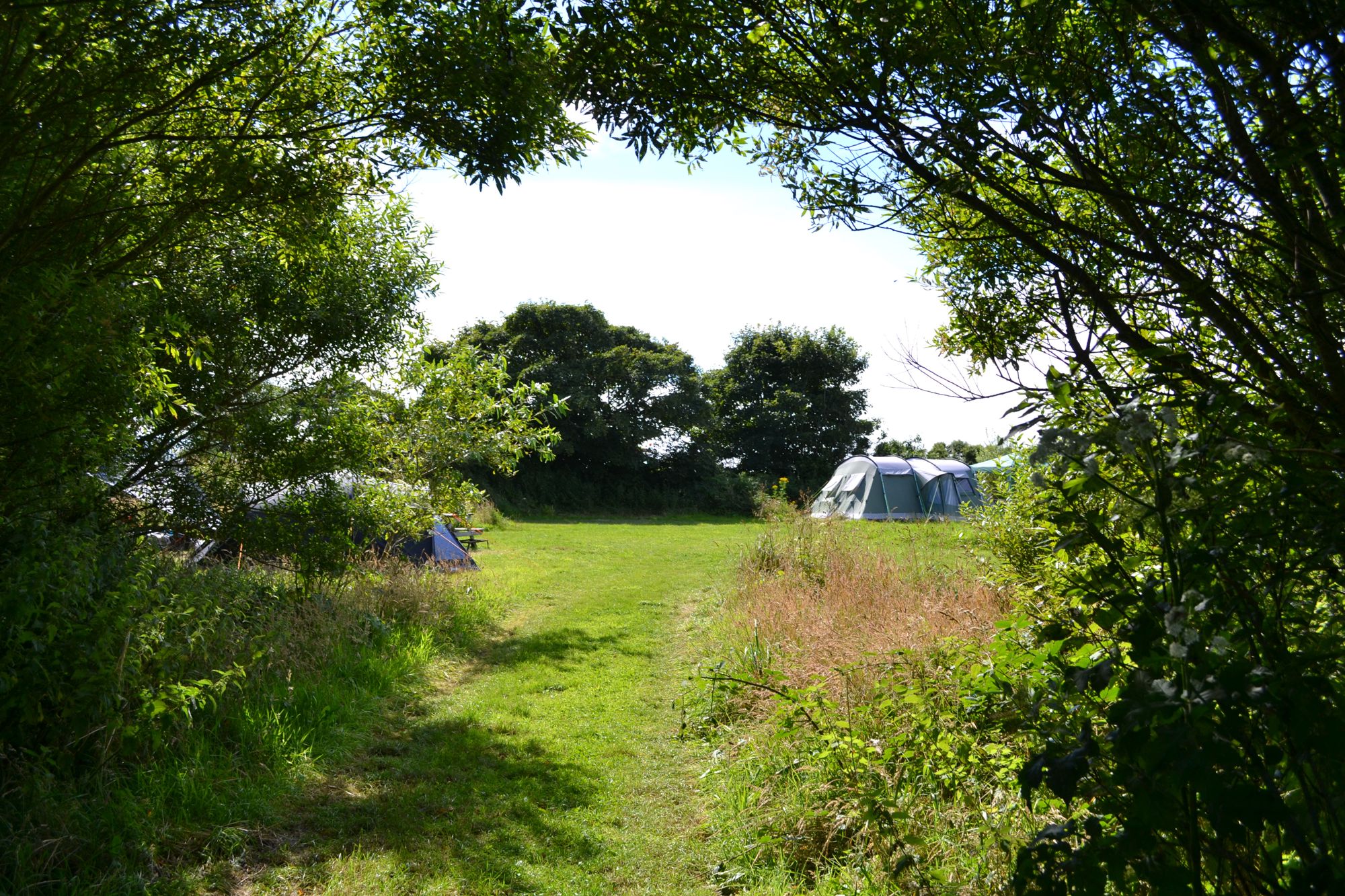 There's a beach in almost every direction you turn at this small-scale family campsite in the picturesque Pembrokeshire Coast National Park.