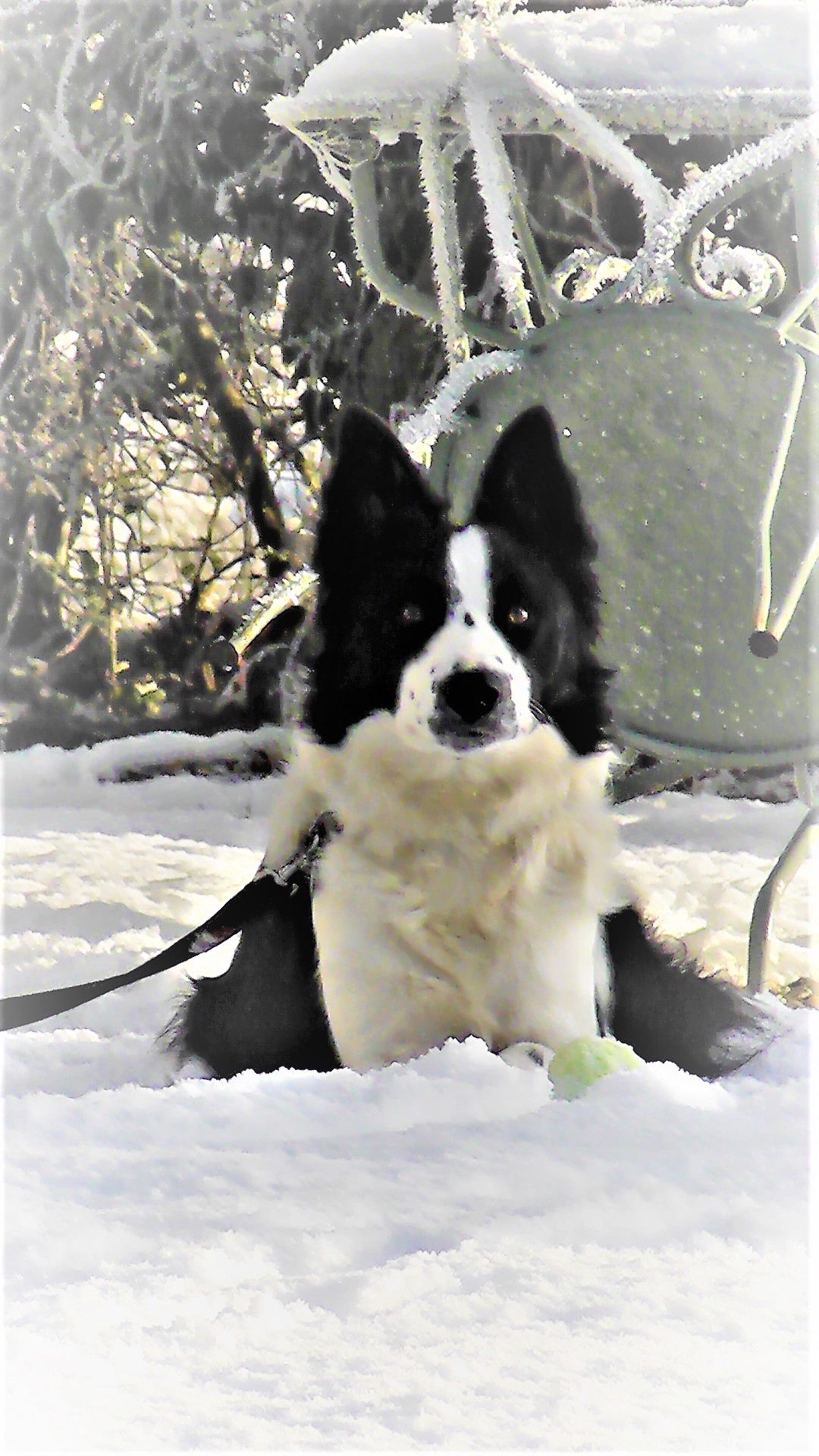 Abberton Shepherds Hut 