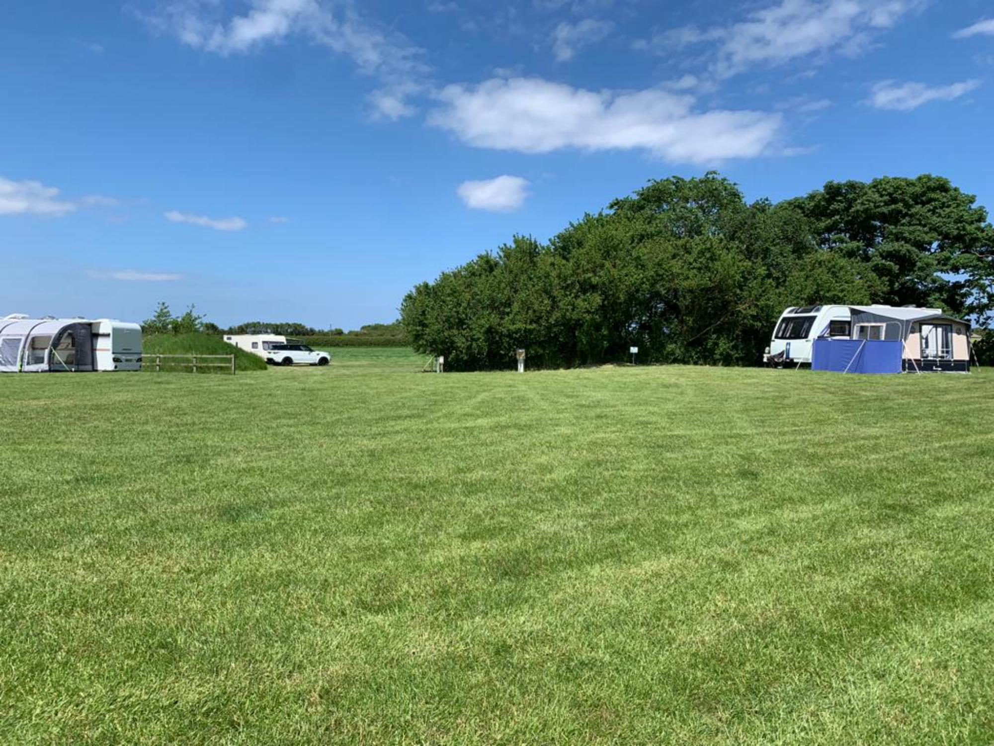 The Grove@Creekside Grass Electric Tent Pitch