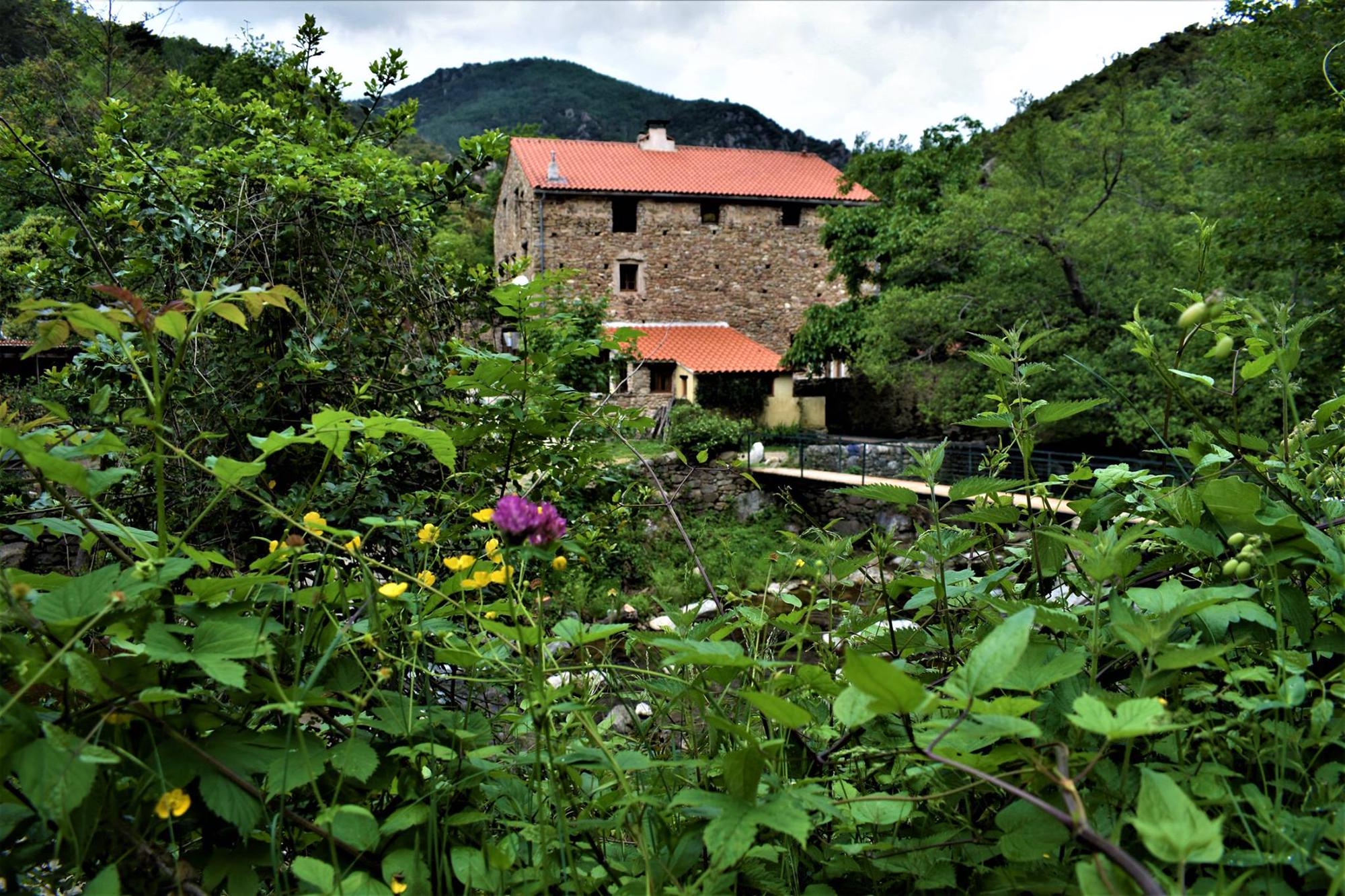 Mas de la Fargassa family camping Pyrenees