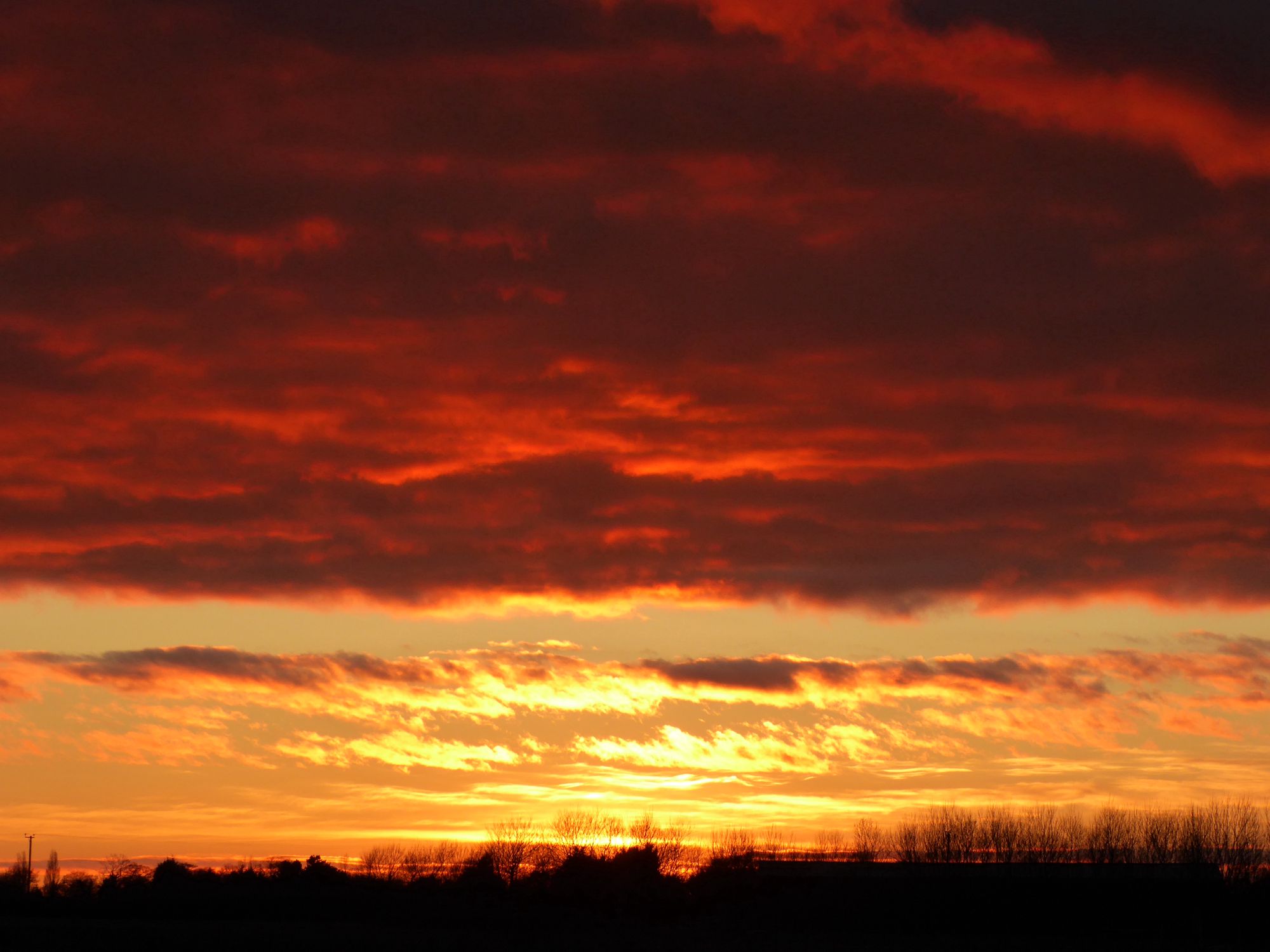Watkinsons Farm Glamping