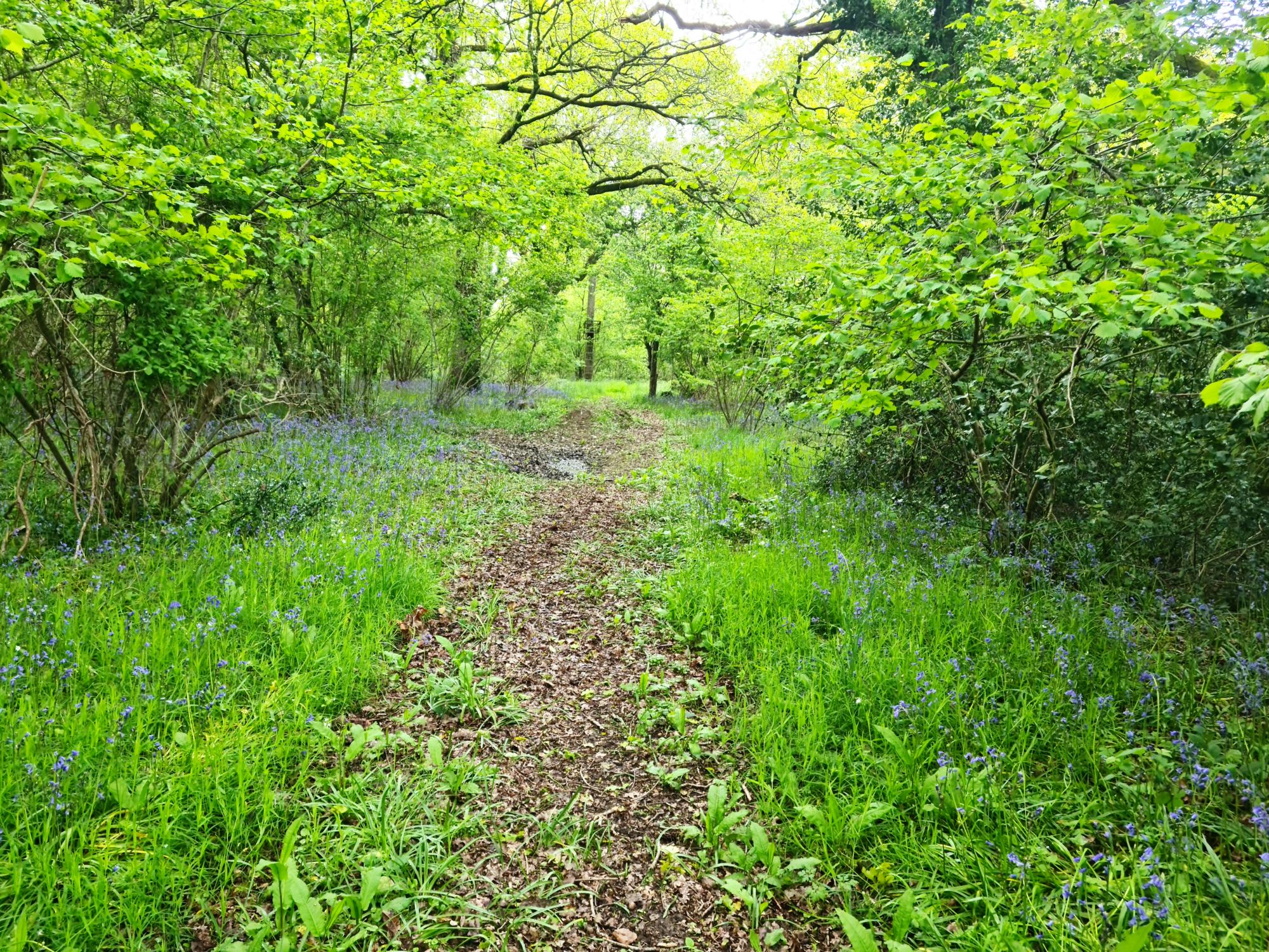 Buckland Farm Camping
