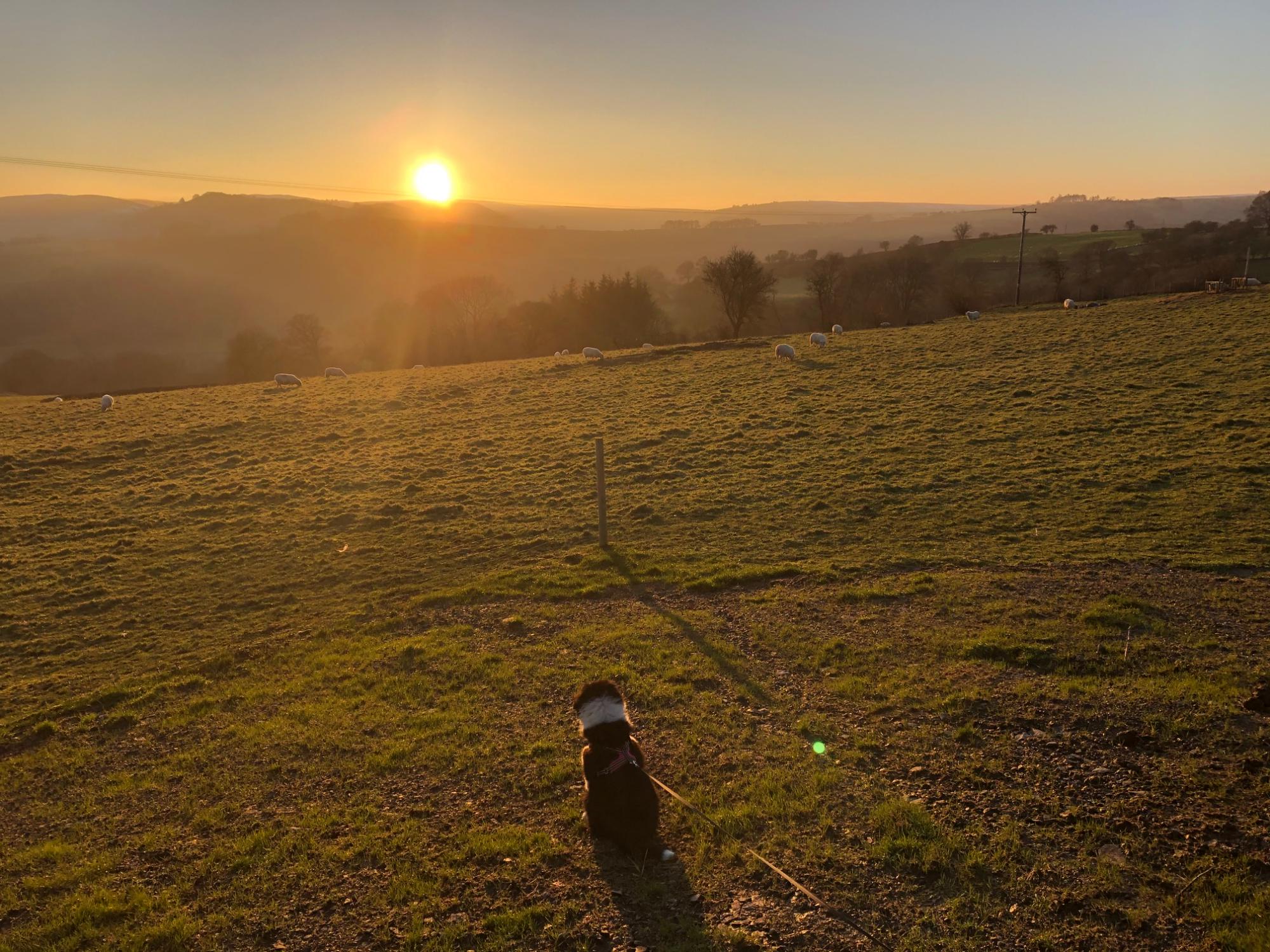 Great House Farm Luxury Pods