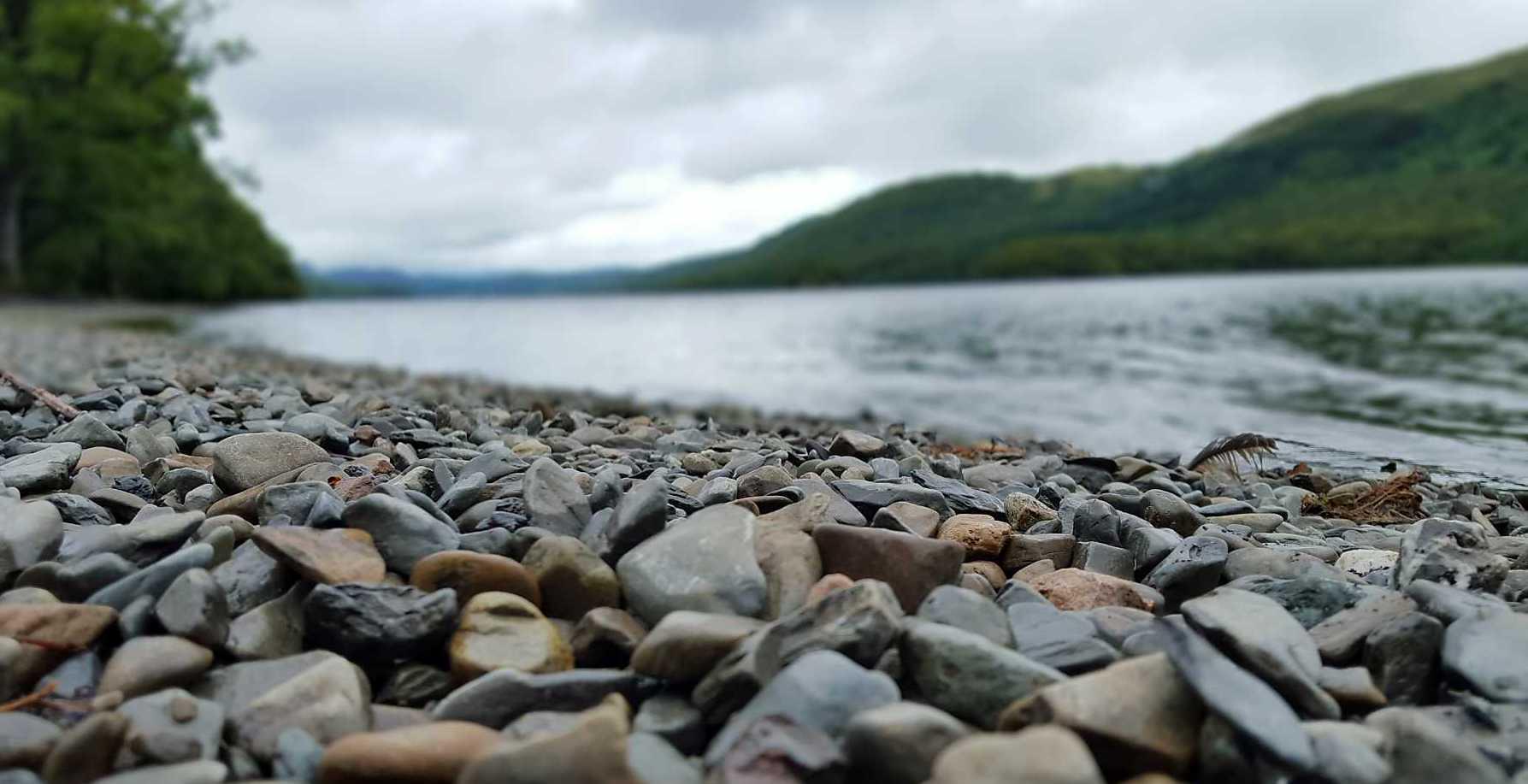 Moss Side Farm Campsite