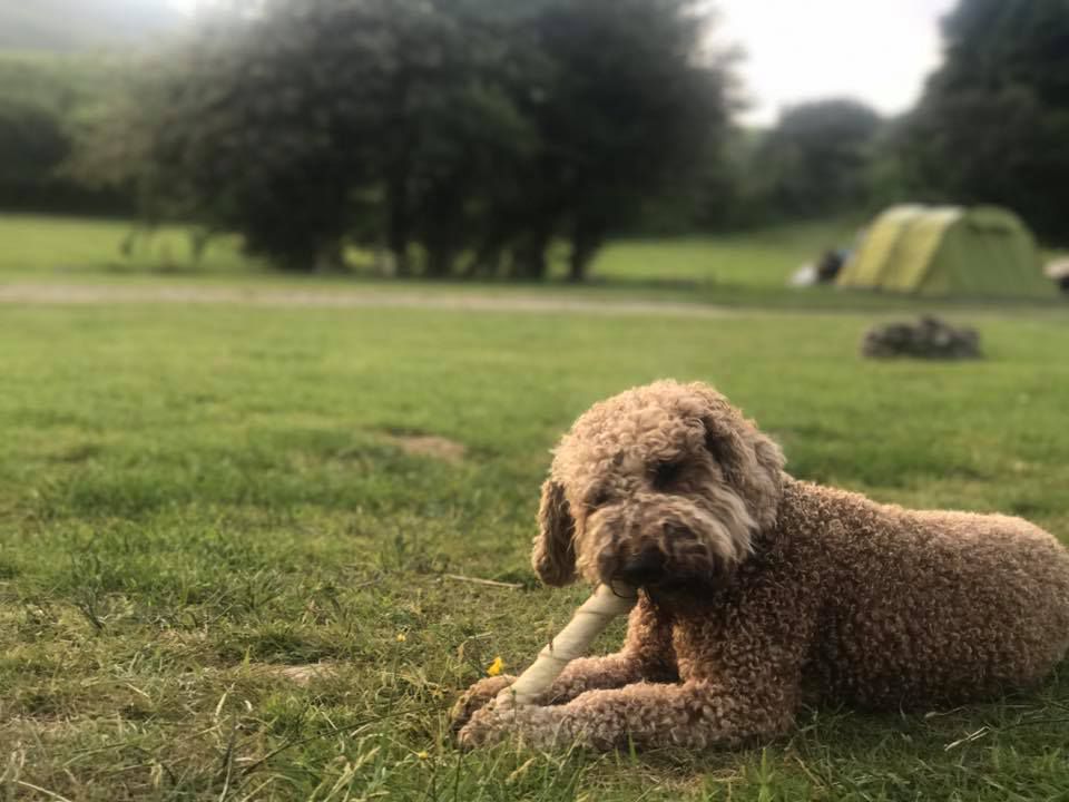 Baystone Bank Farm Campsite