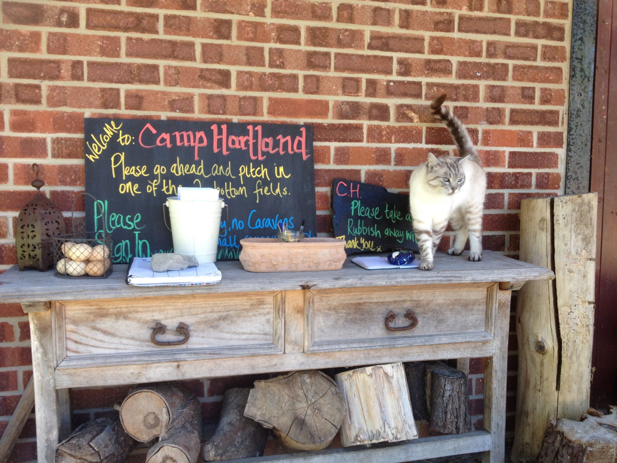 A 28 day pop-up campsite that offers authentic rural camping in the heart of the Dorset countryside.