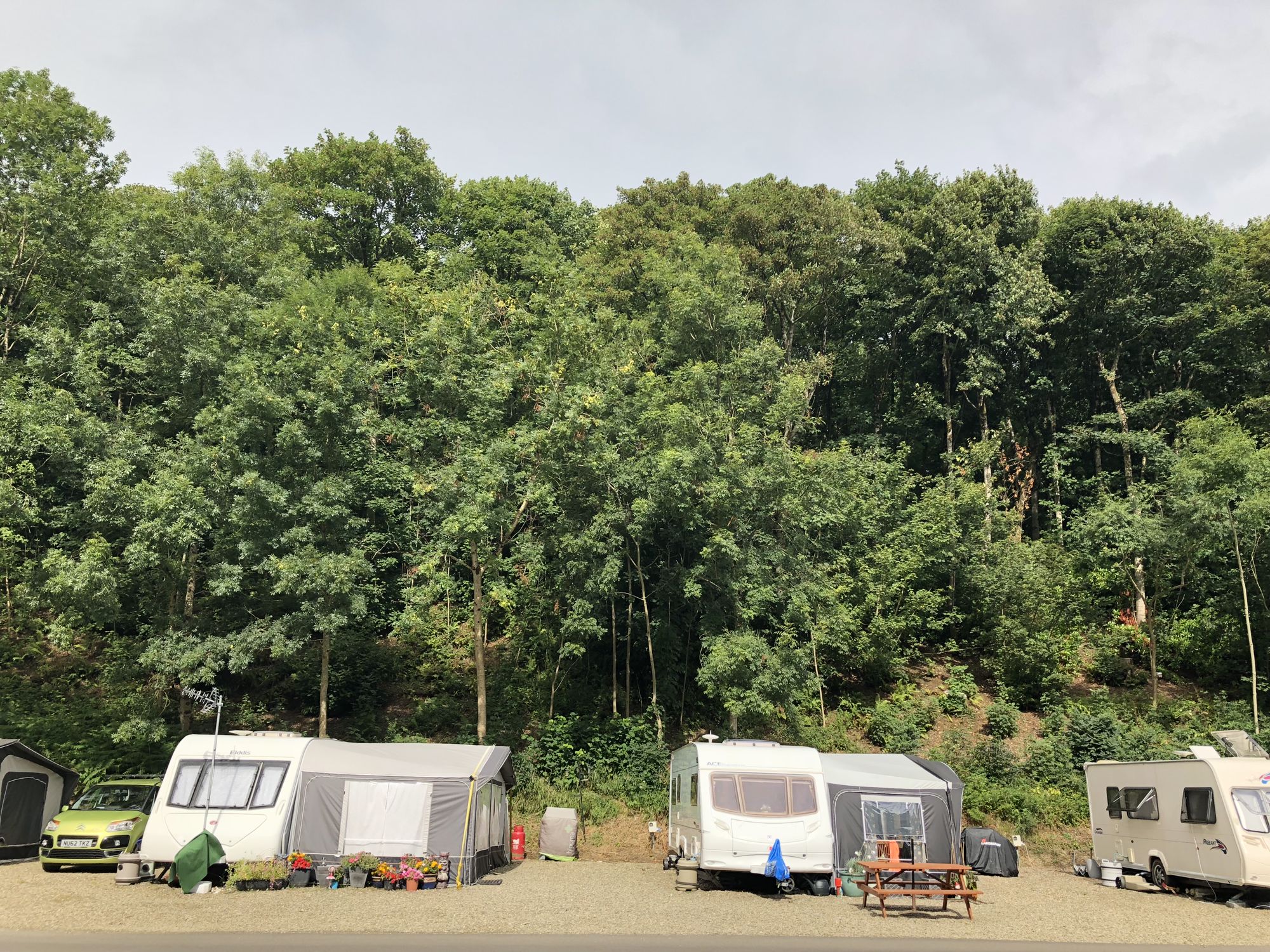 Llwyngwair Manor Holiday Park