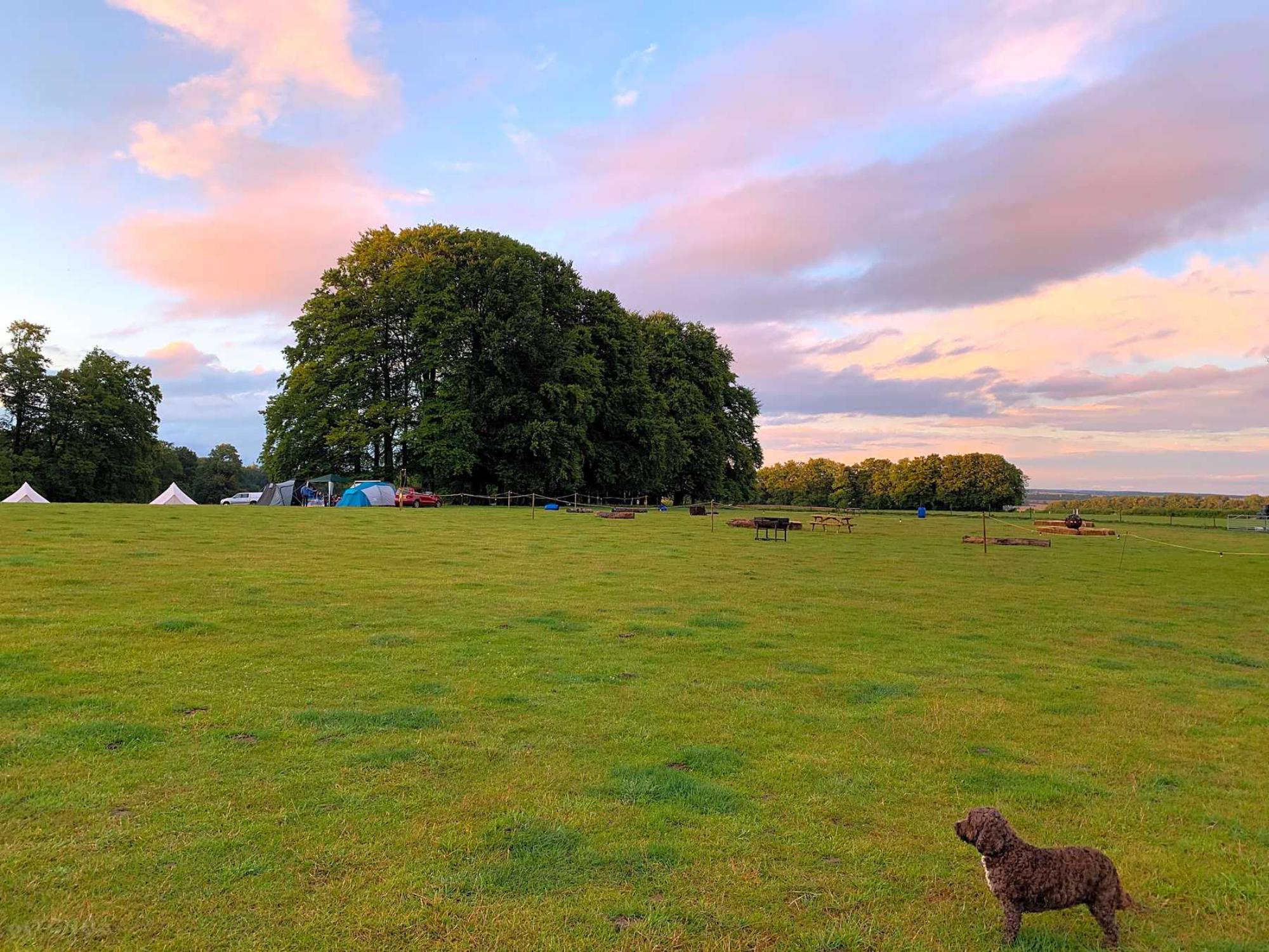 Charisworth Farm