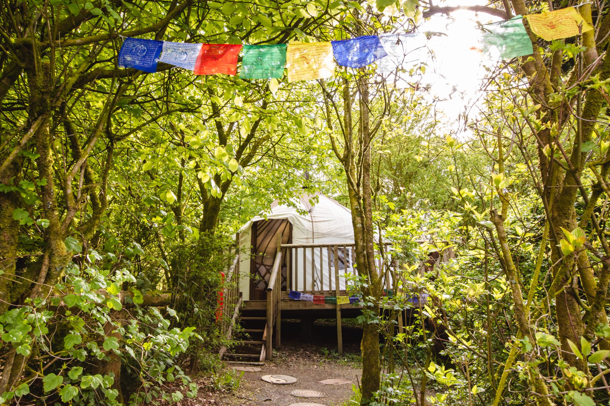 The Bentwood Yurt in the spring