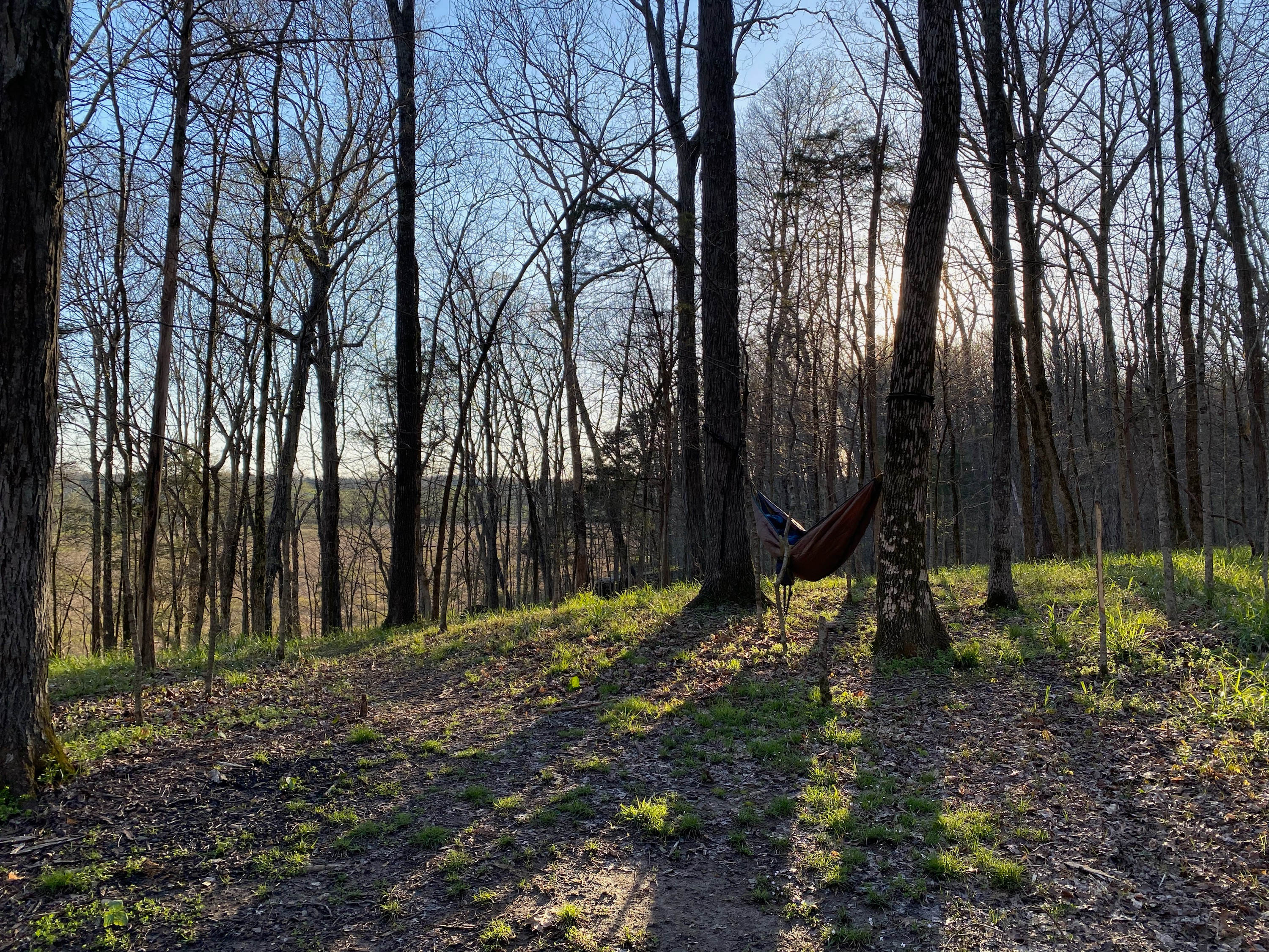 View from backwoods site 2. 