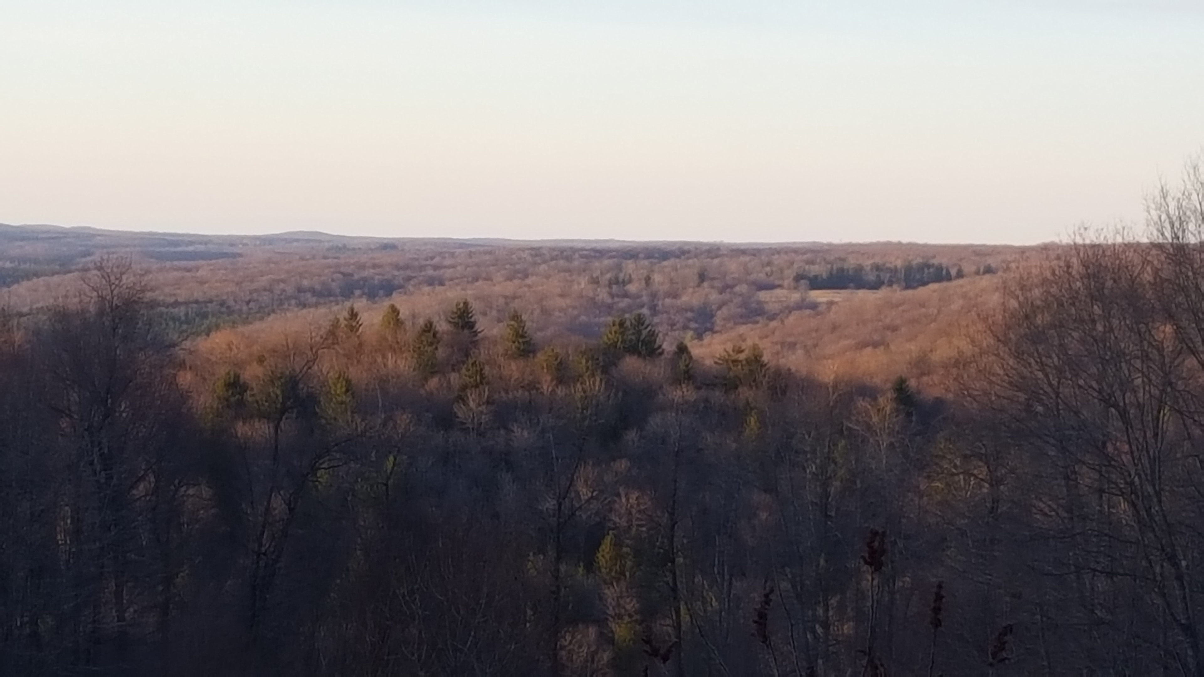 A view from our hill