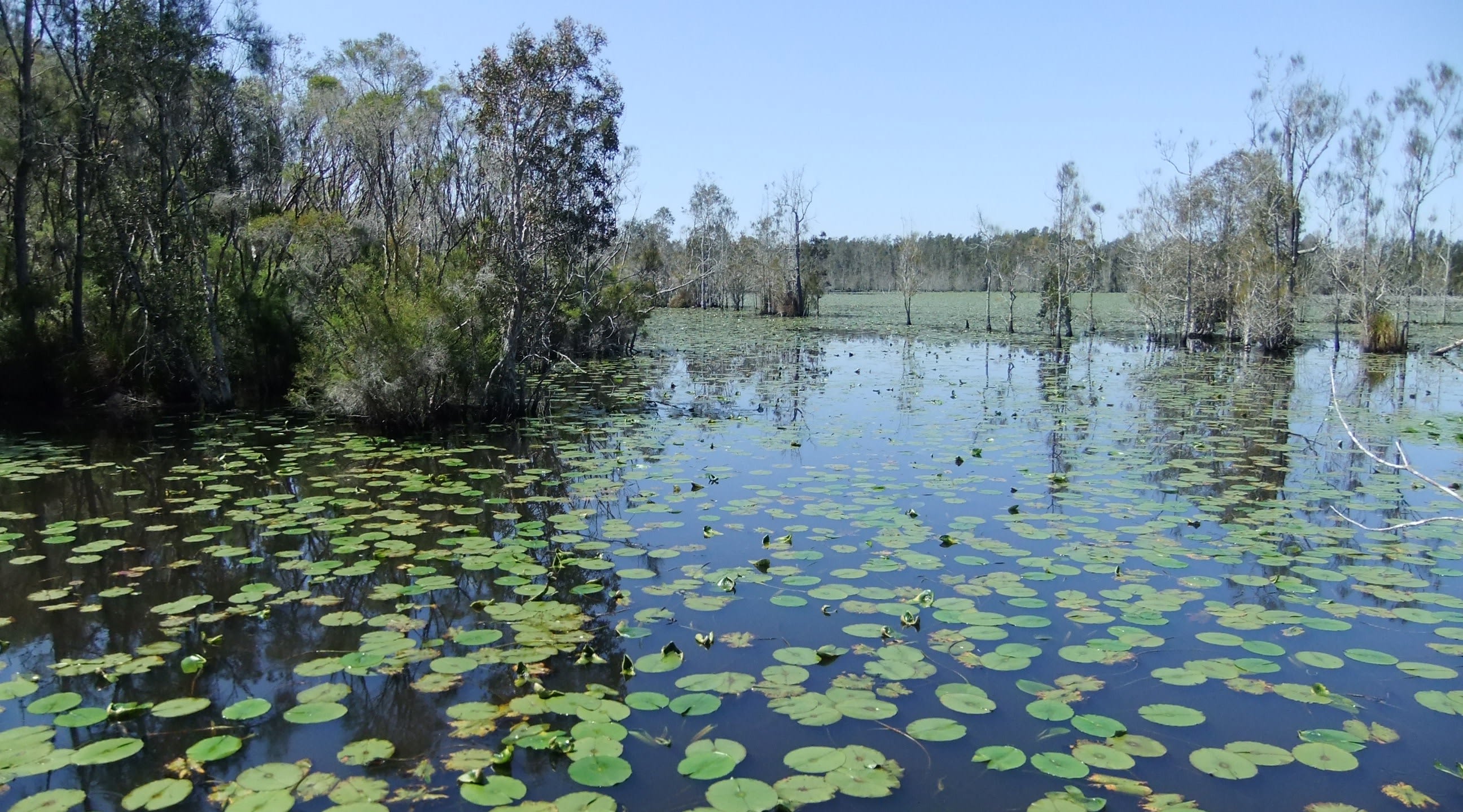Cattai National Park