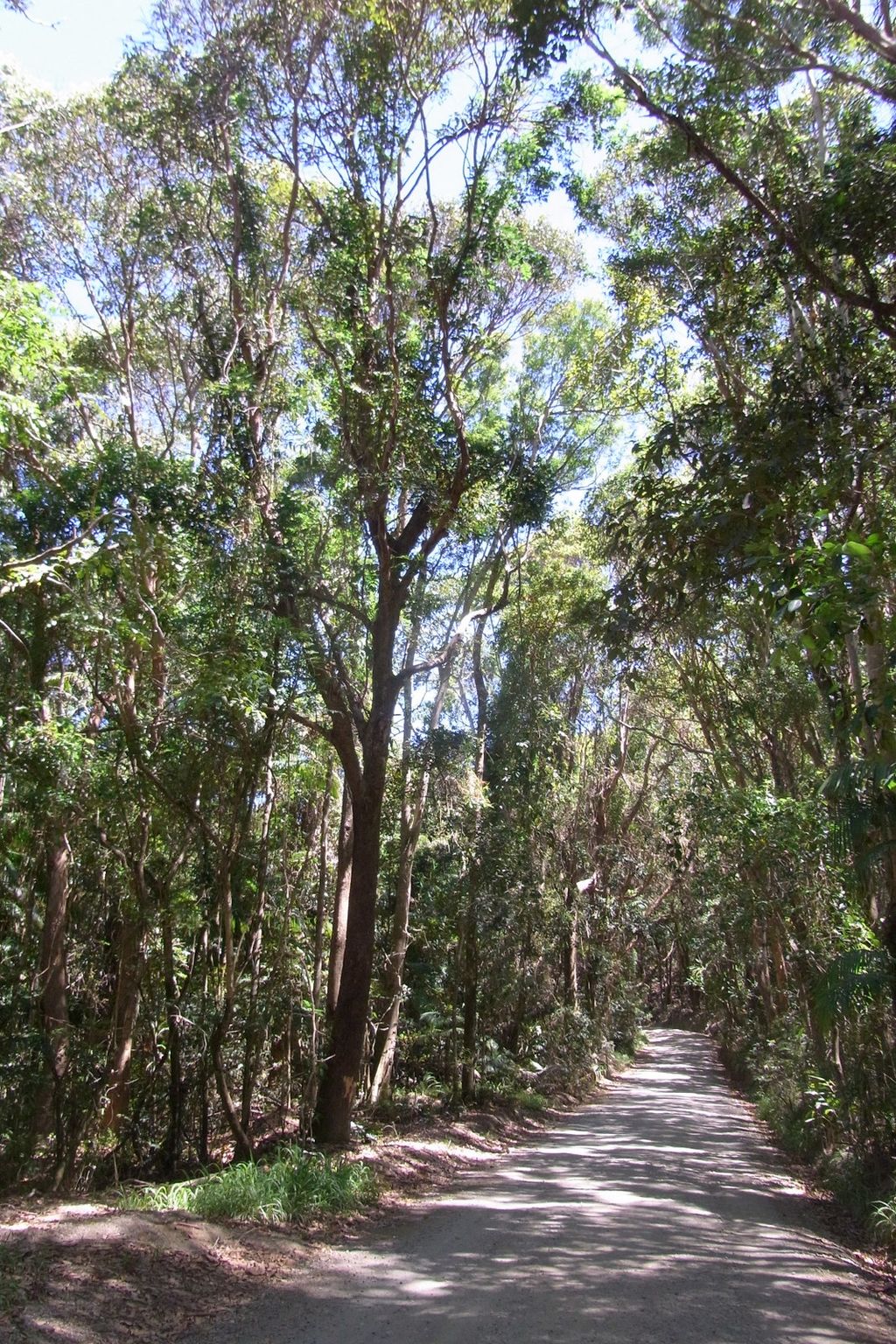 Broken Head Nature Reserve