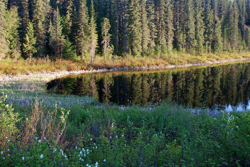 Alice Lake Provincial Park