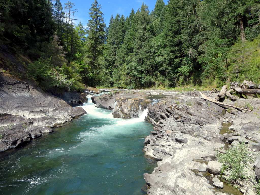 Cowichan River Provincial Park