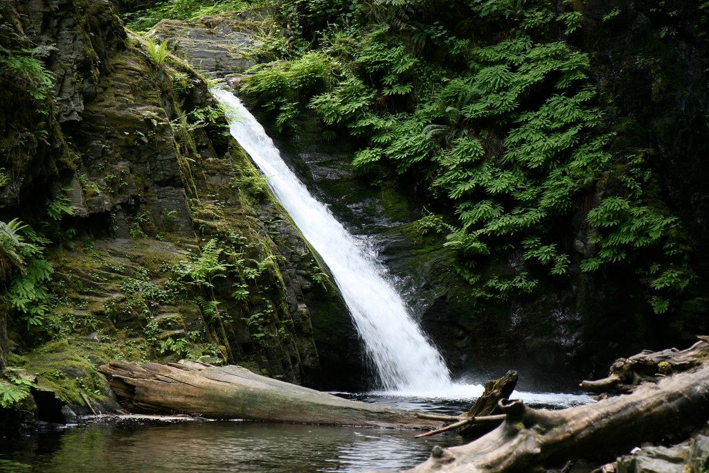 Goldstream Provincial Park