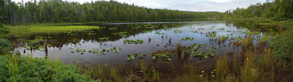 Loon Lake Provincial Park