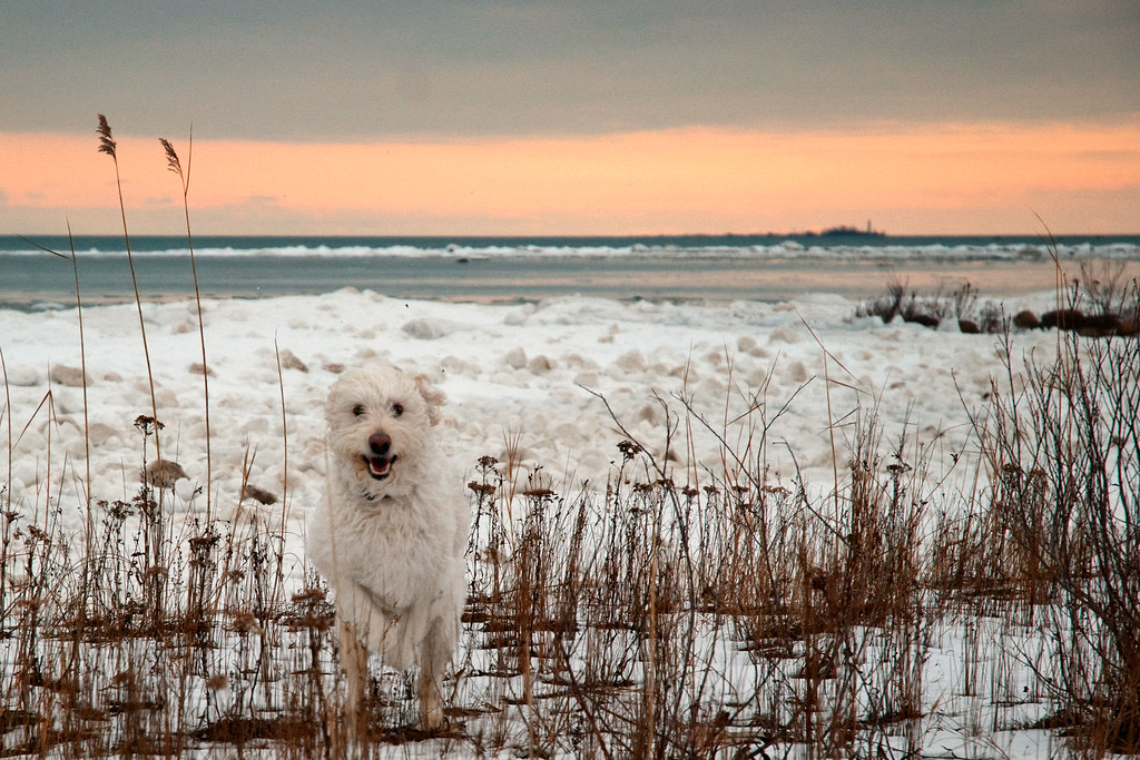 MacGregor Point Provincial Park