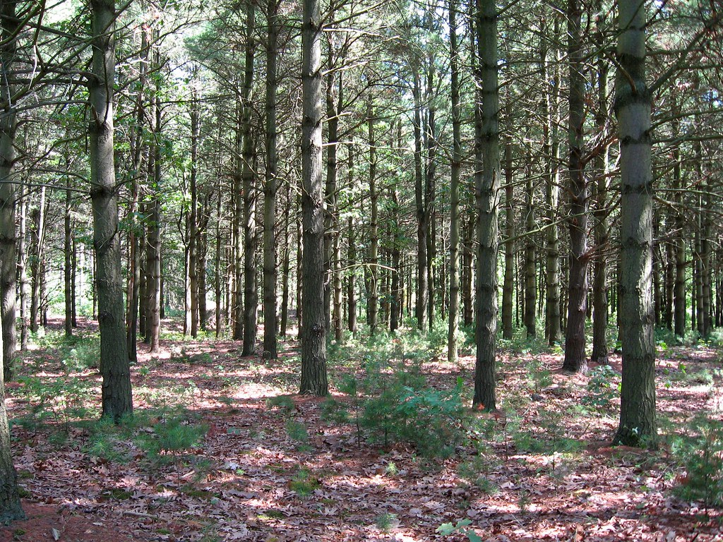 Turkey Point Provincial Park