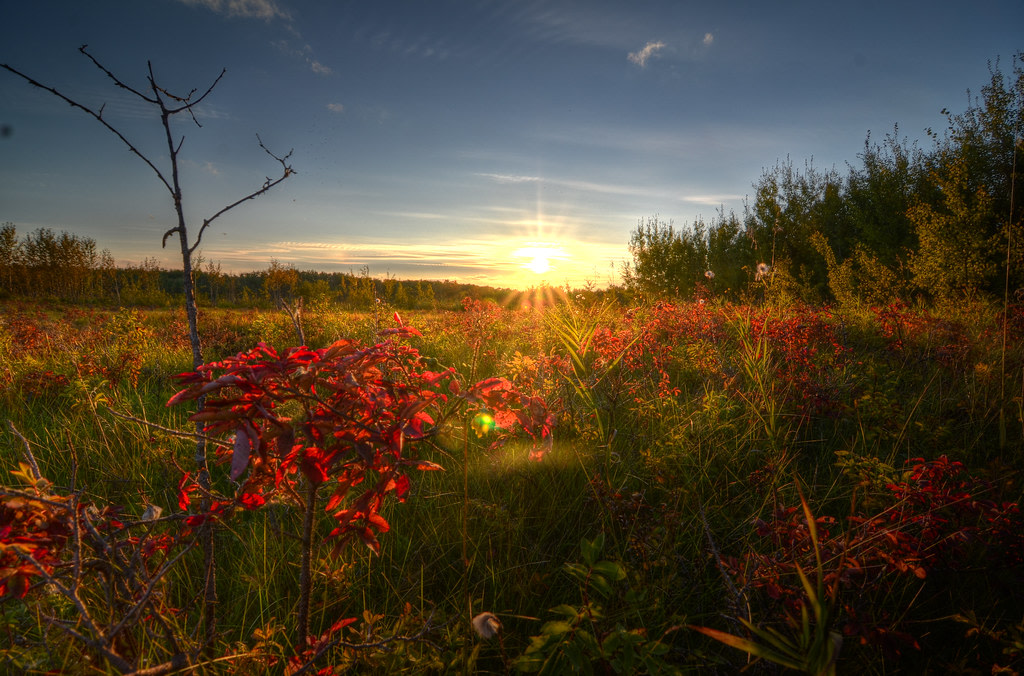 Miquelon Lake Provincial Park