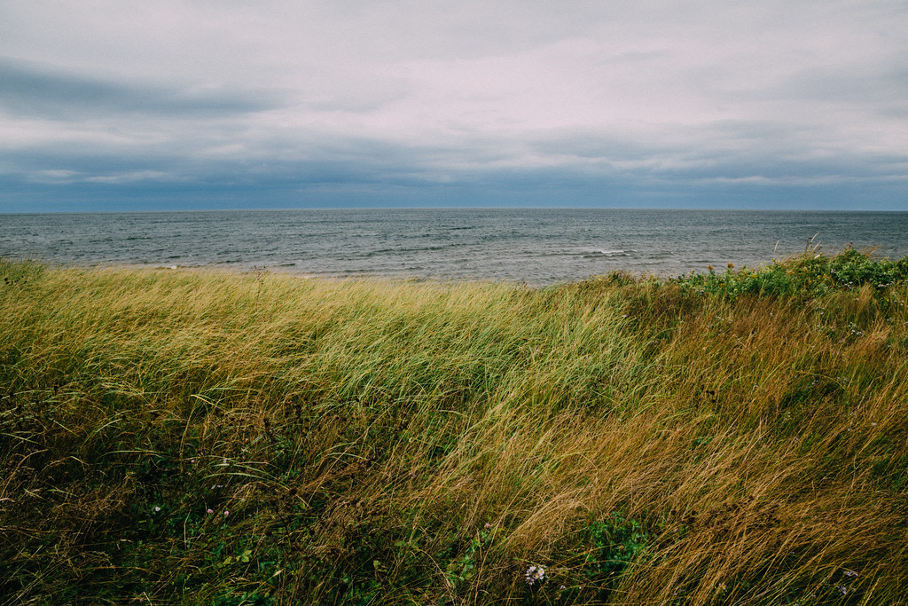 Murray Beach Provincial Park