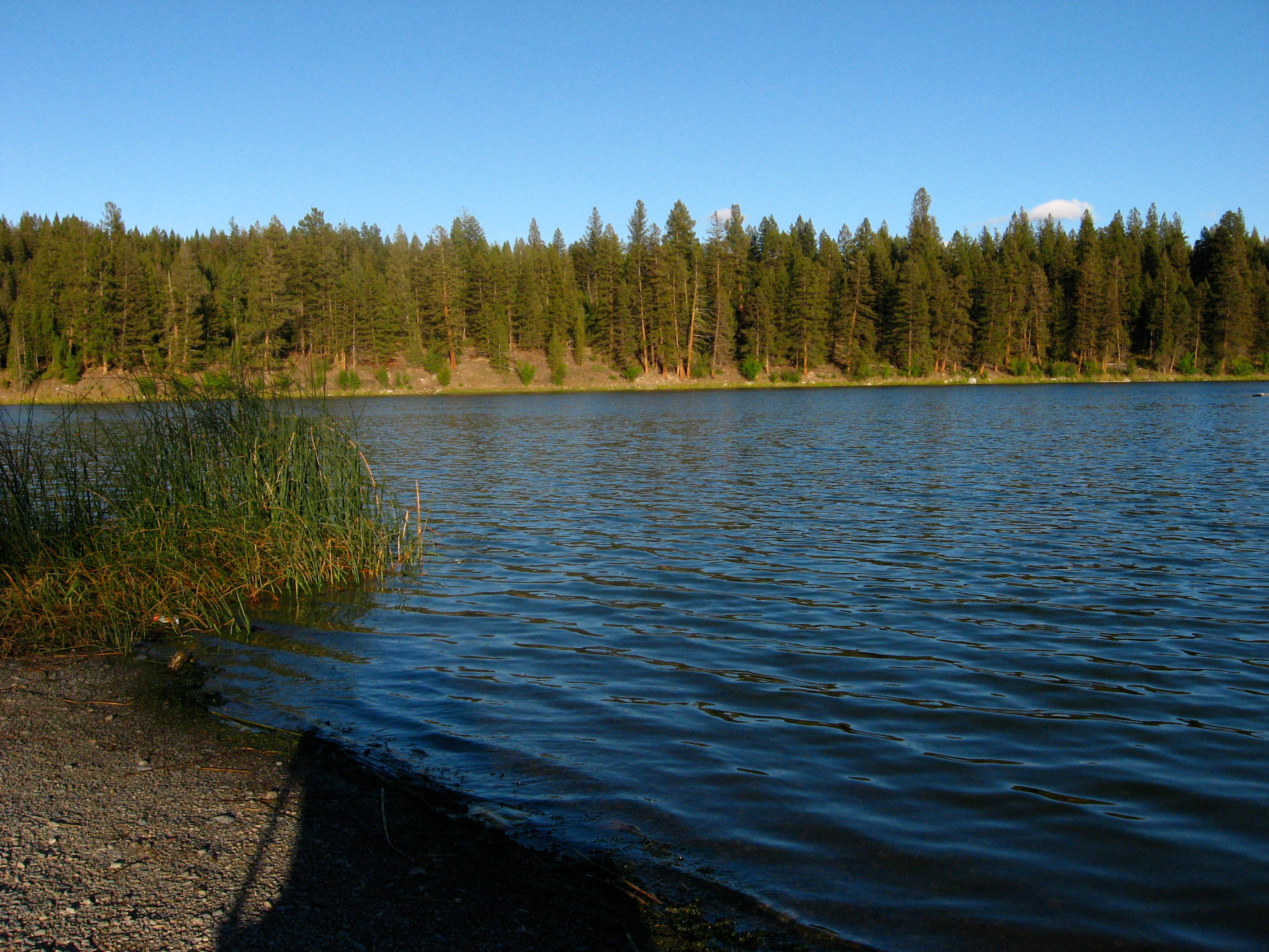 Roche Lake Provincial Park