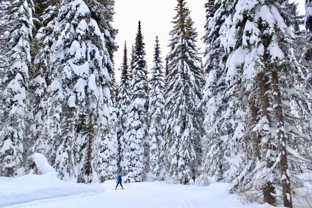 Silver Star Provincial Park