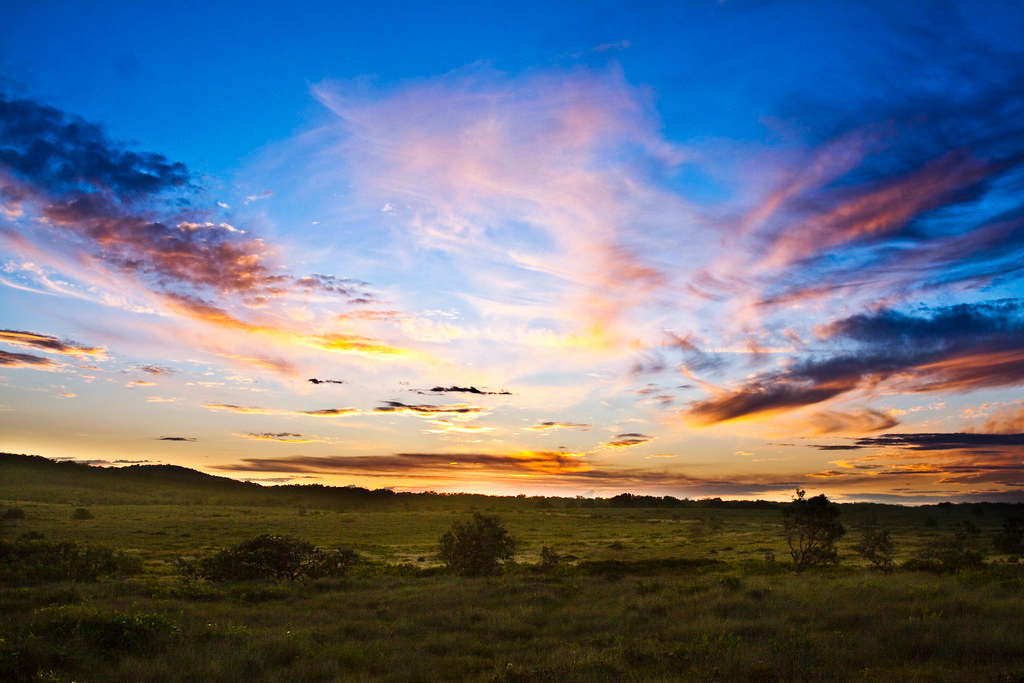 Yuraygir National Park