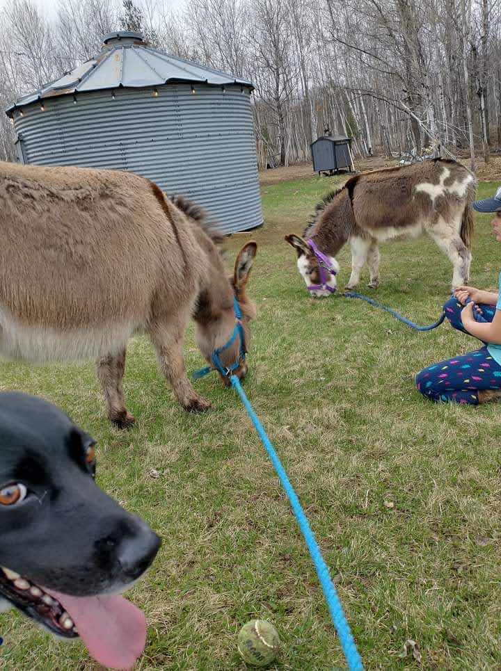 Ringler's Family Campground