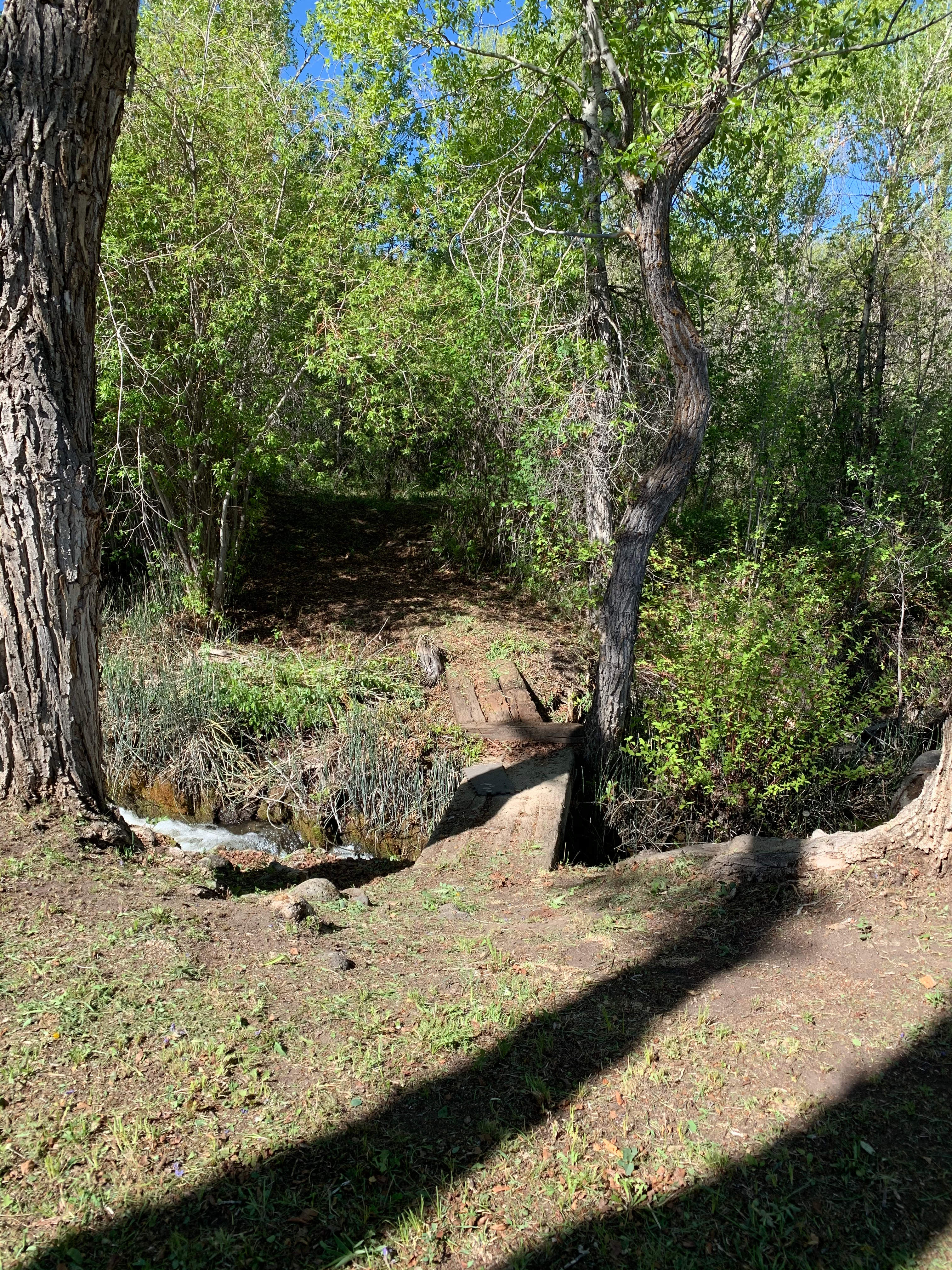 bridge across creek