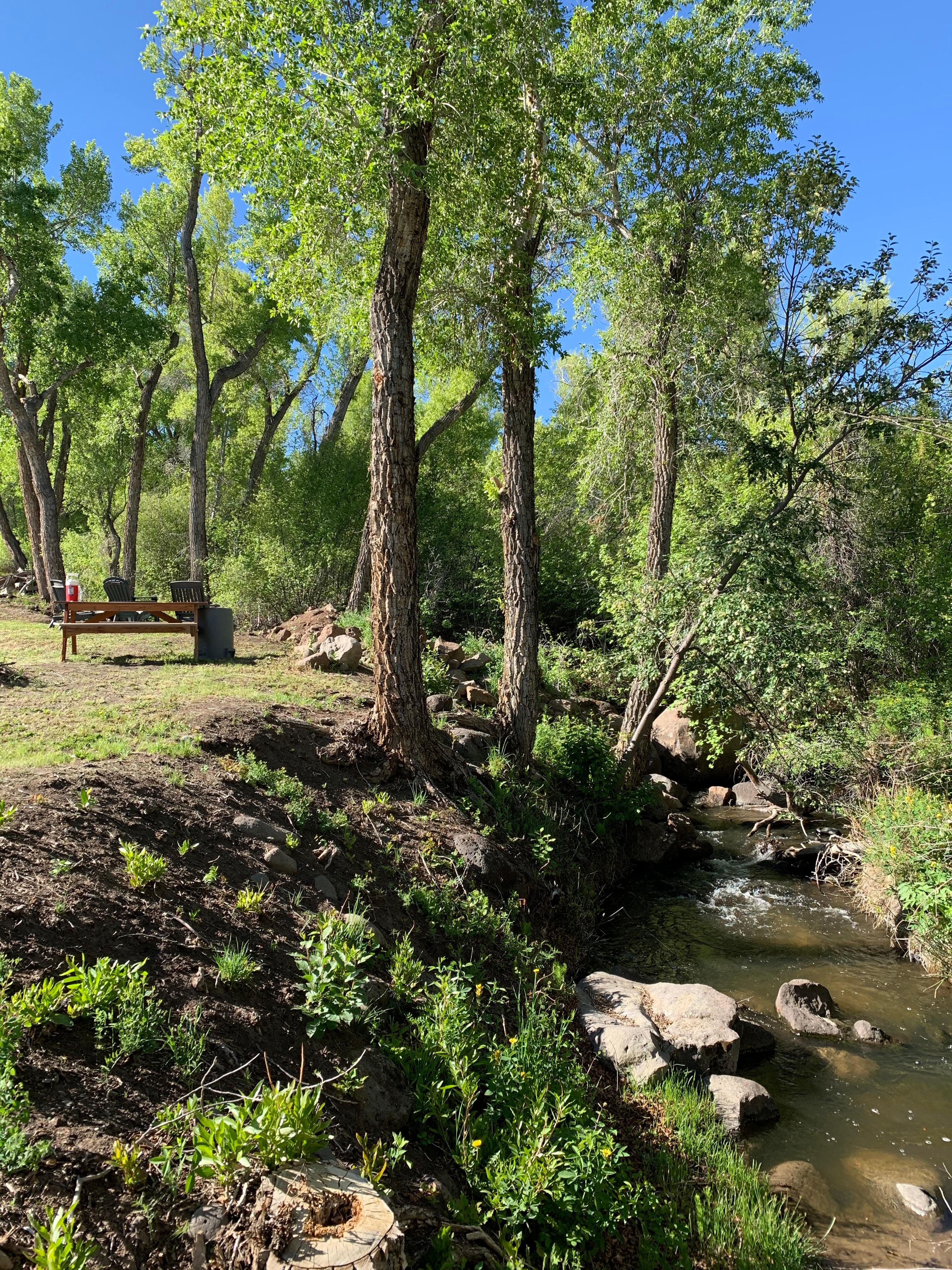 picnic area by creek