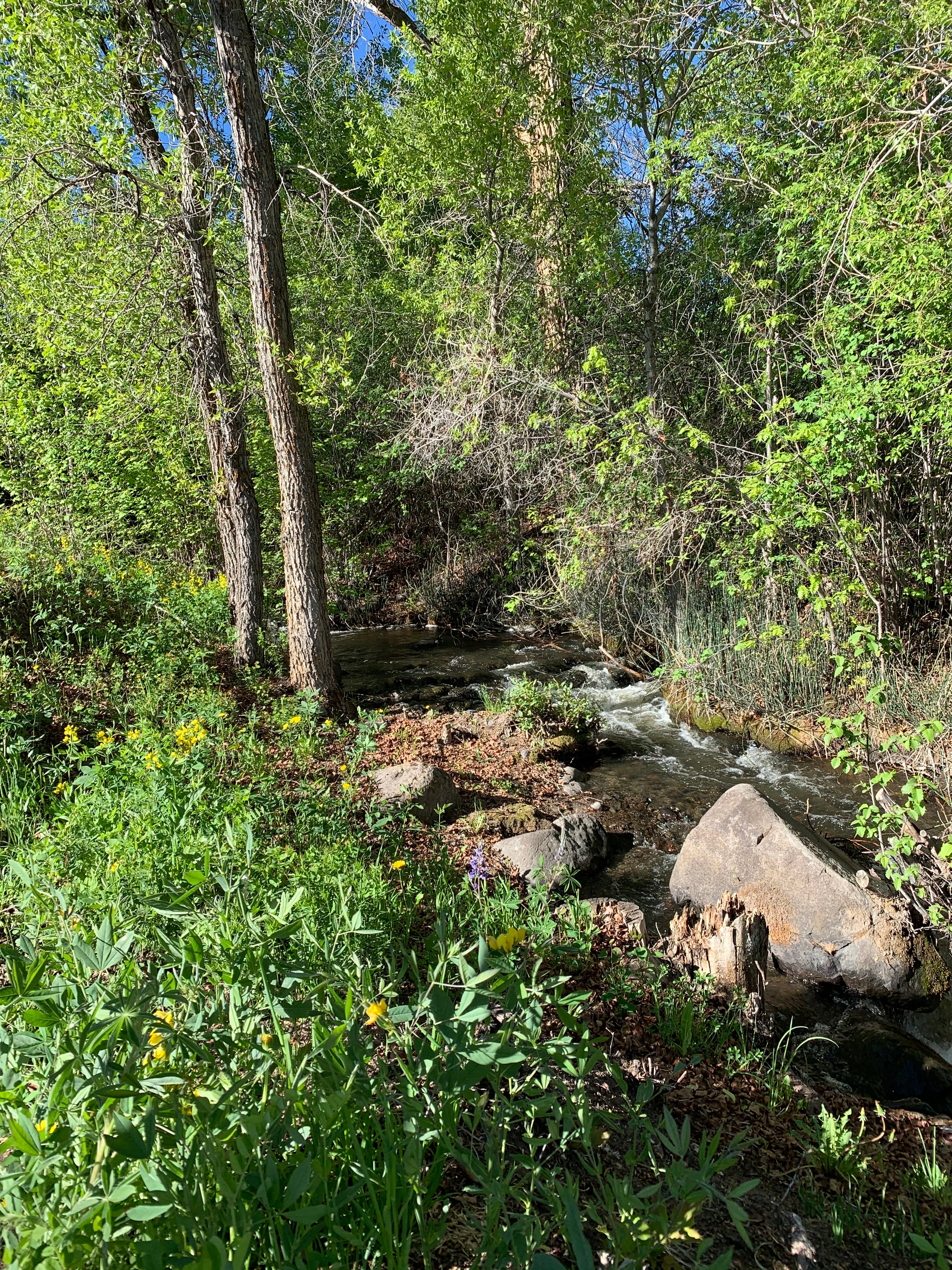 creek
