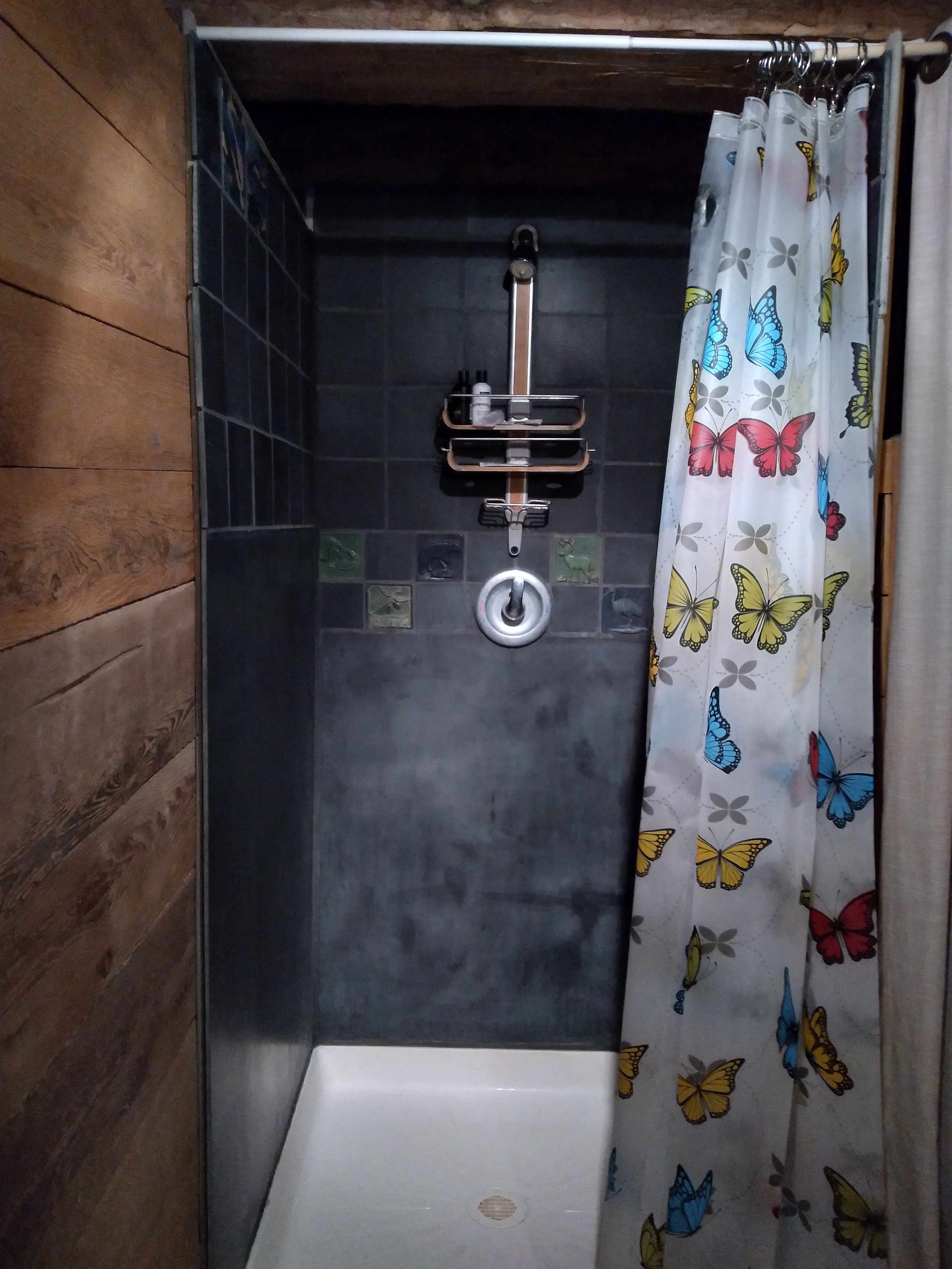 Shower room with single shower stall, sink and mirrors.