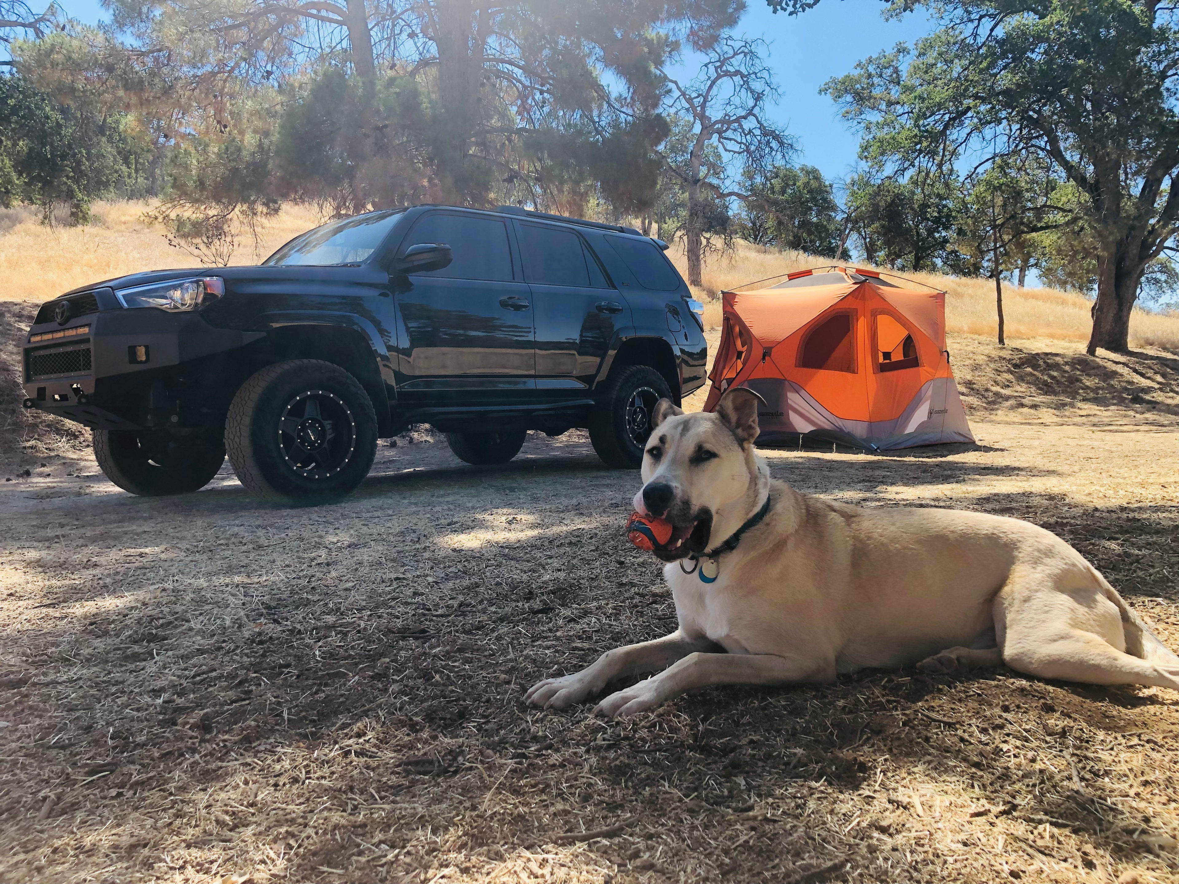 Ace's Yosemite Hide Out