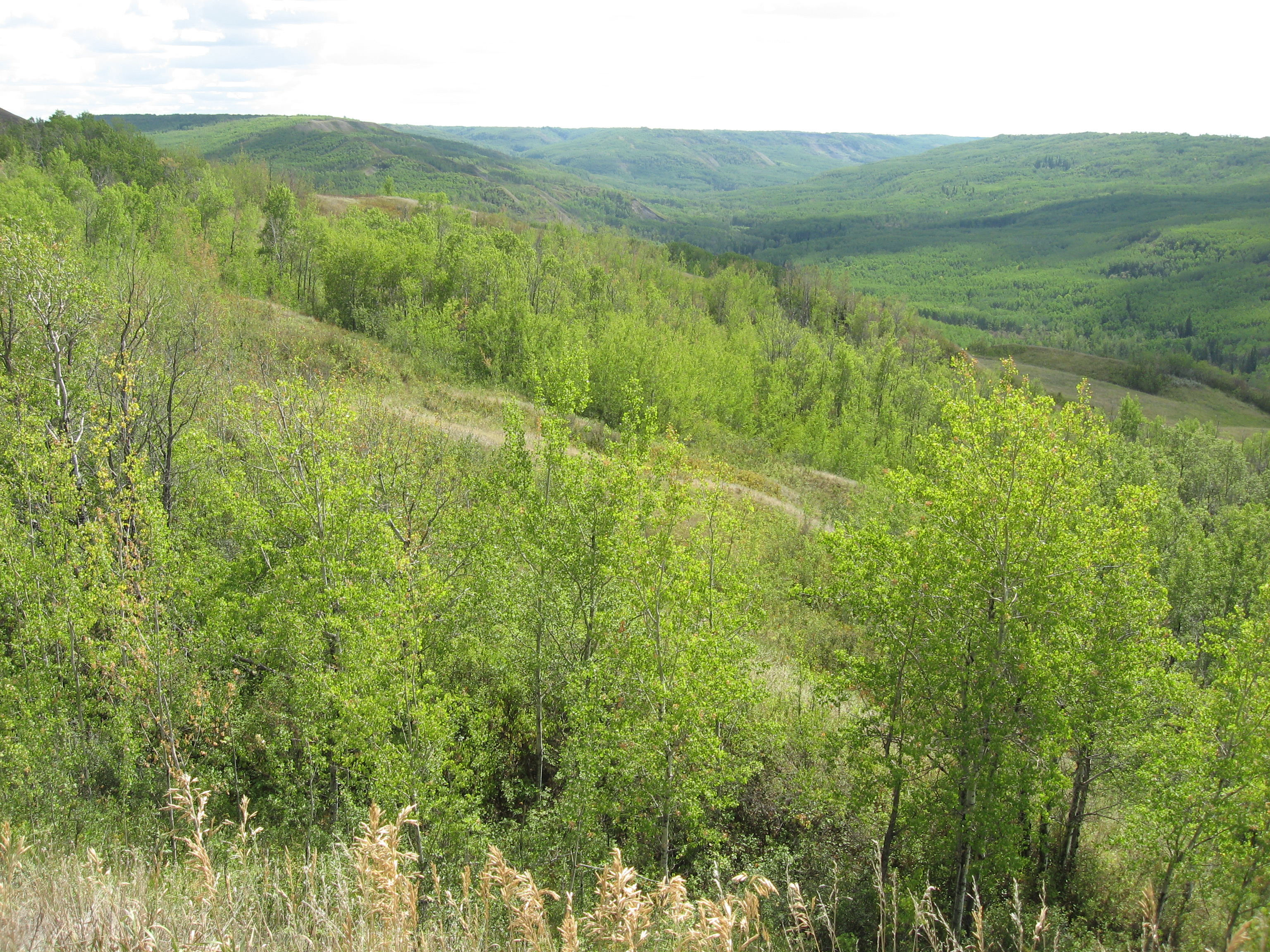 Greene Valley Provincial Park