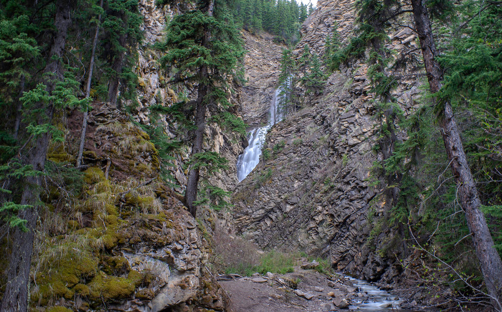 Willmore Wilderness Park