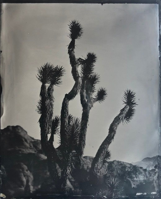 Snow Canyon State Park