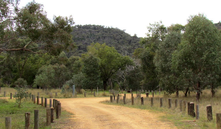 Ben Halls Gap National Park