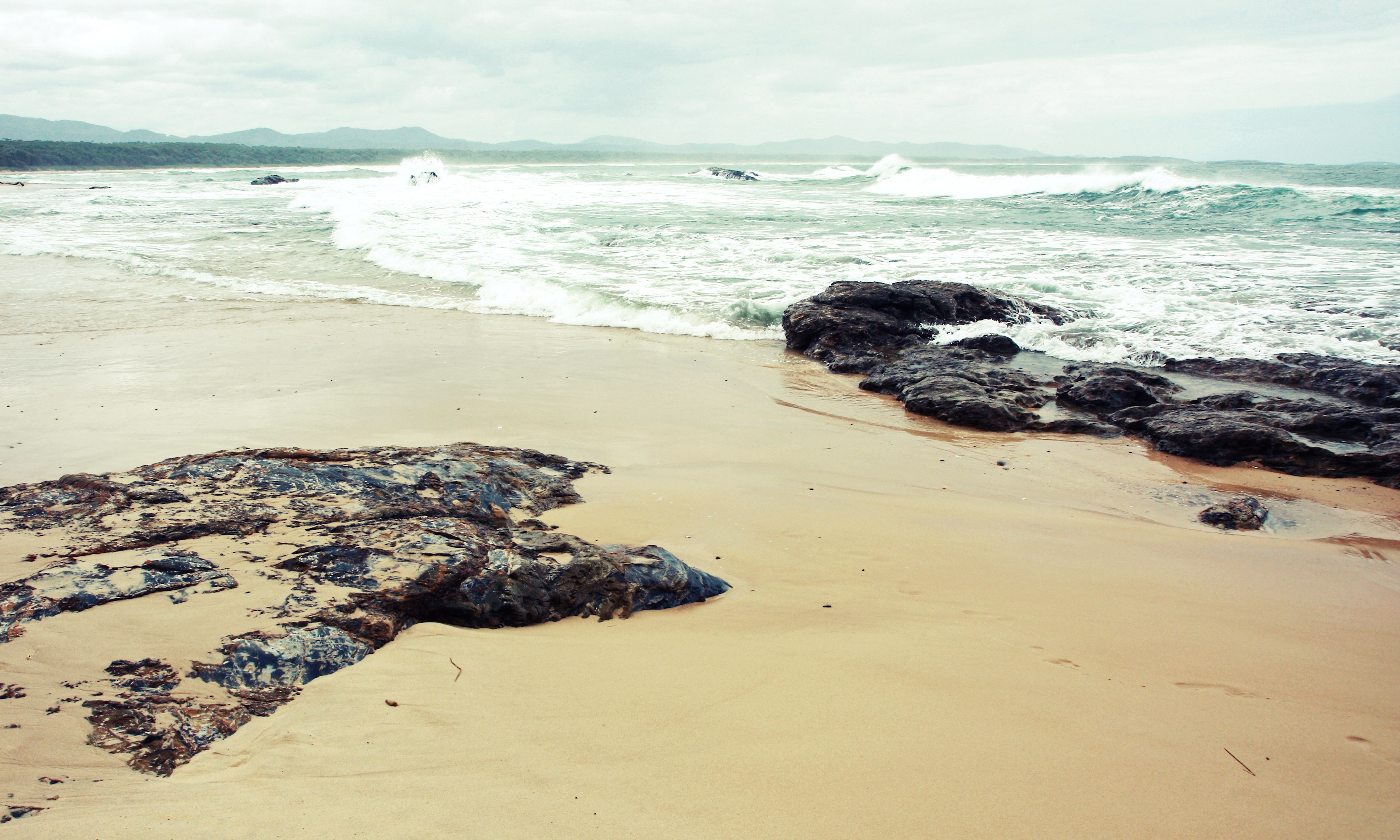 Bongil Bongil National Park