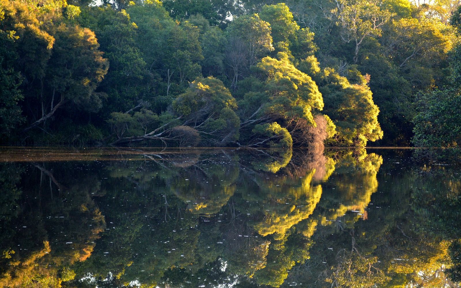 Bungawalbin National Park