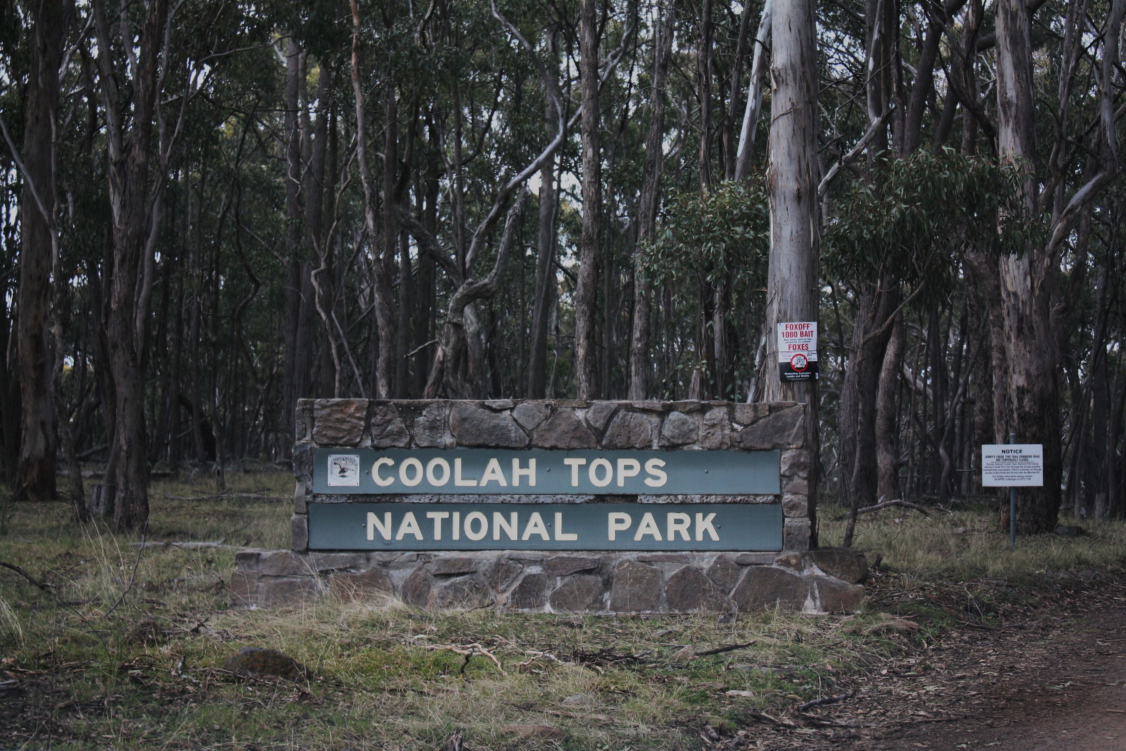 Coolah Tops National Park