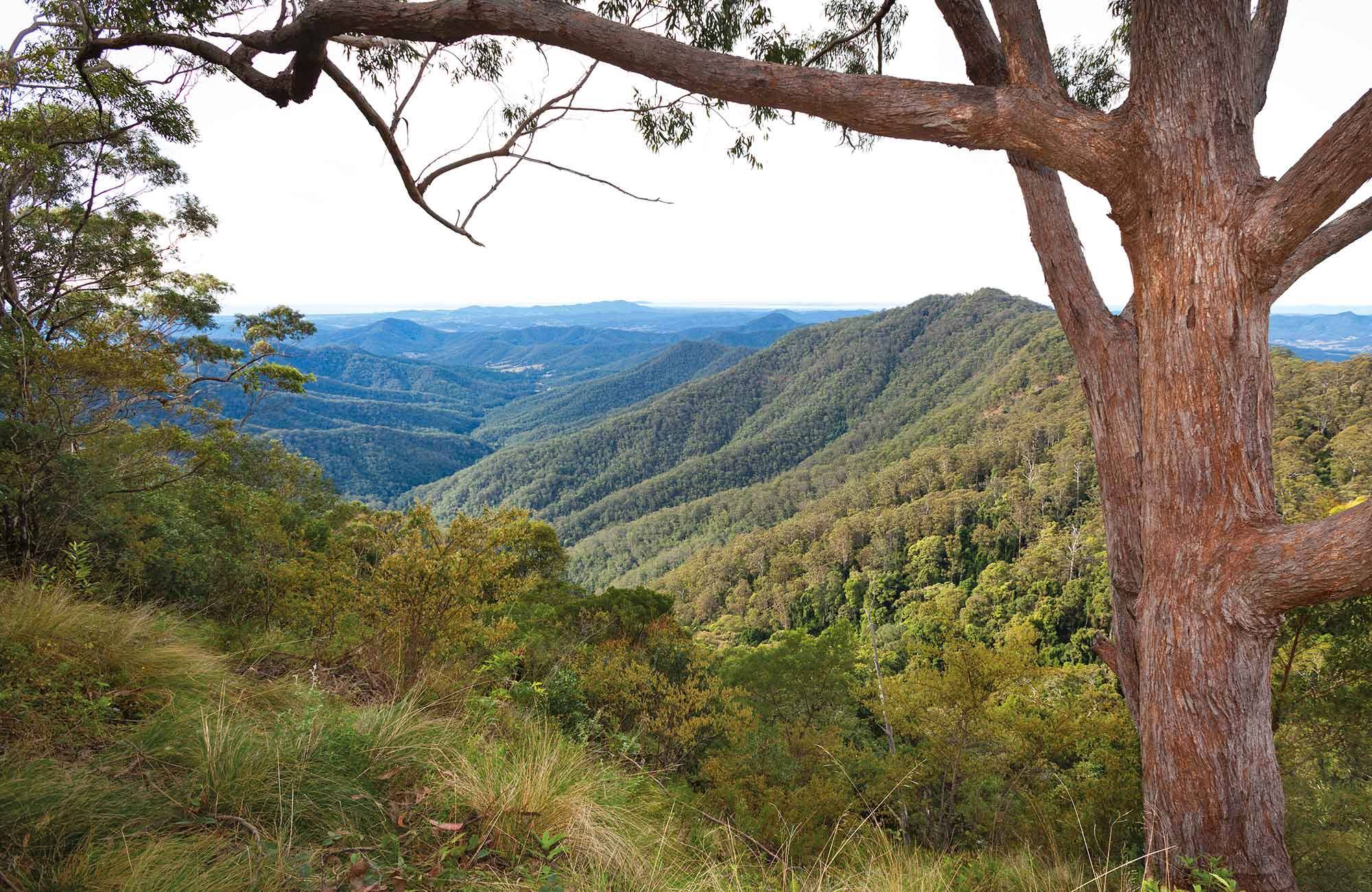 Dunggir National Park