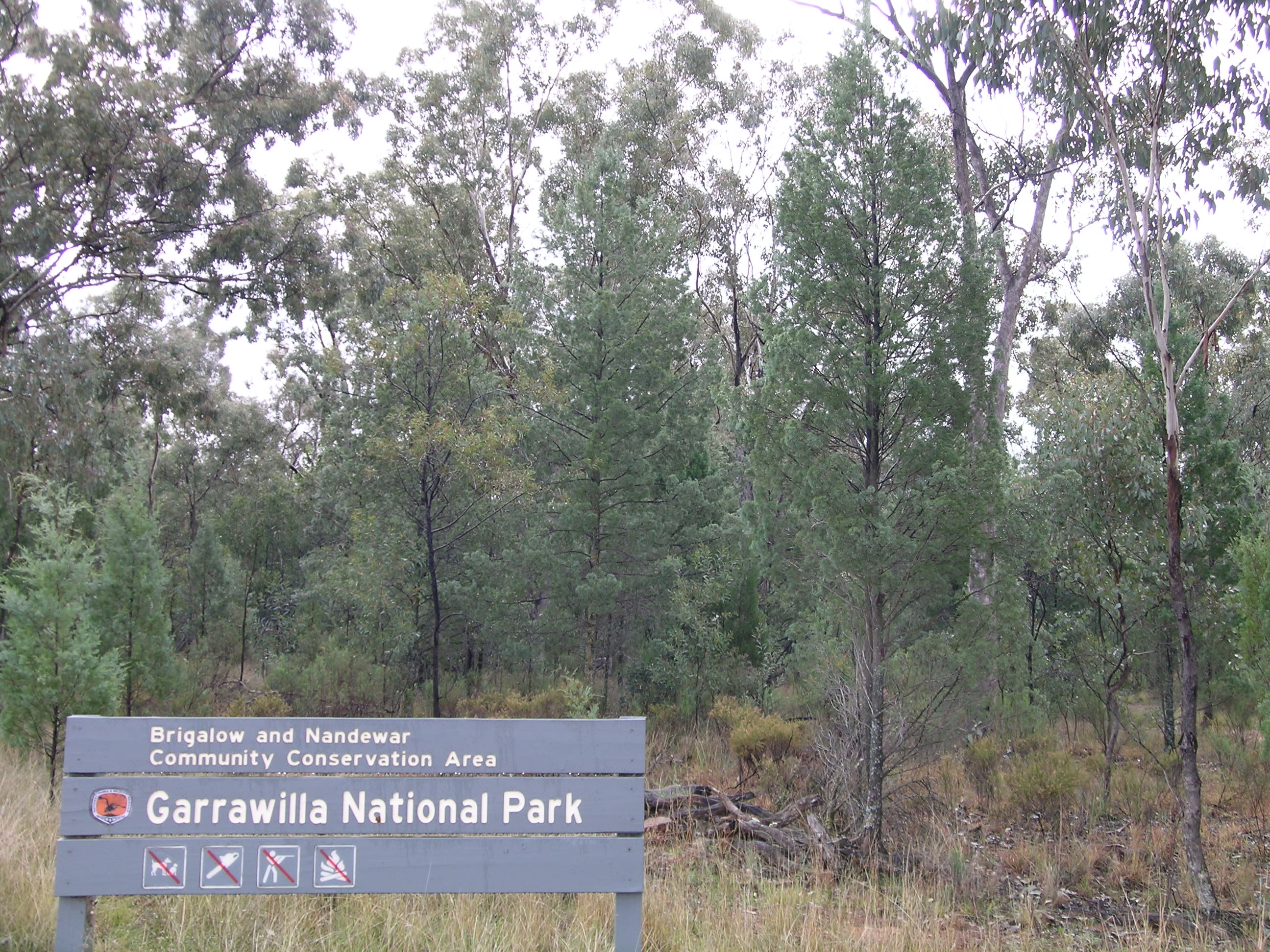 Garrawilla National Park